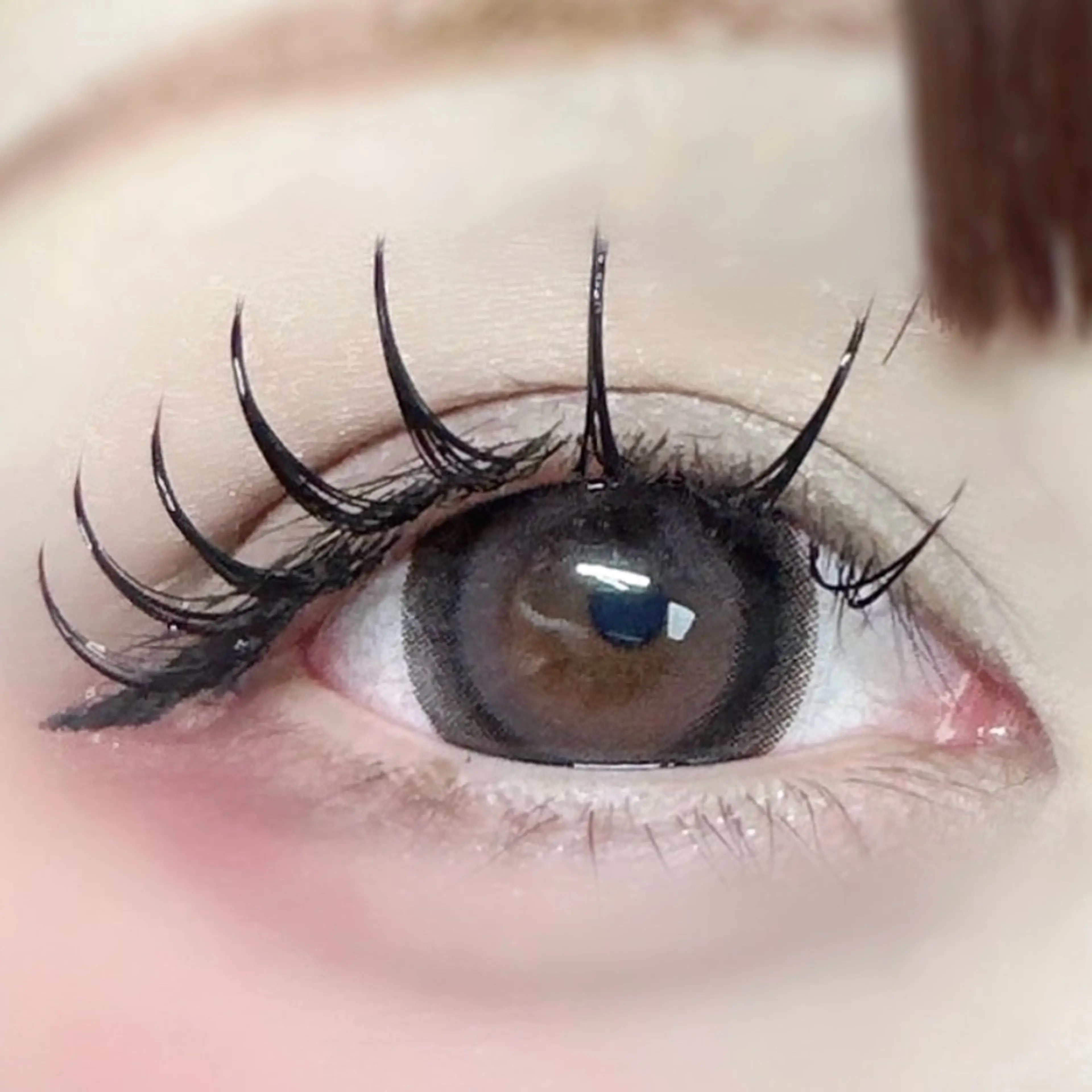 マツエク・マツパ フラットラッシュ マツエク マツエク専門店 cyunaのマツエク・マツパデザイン