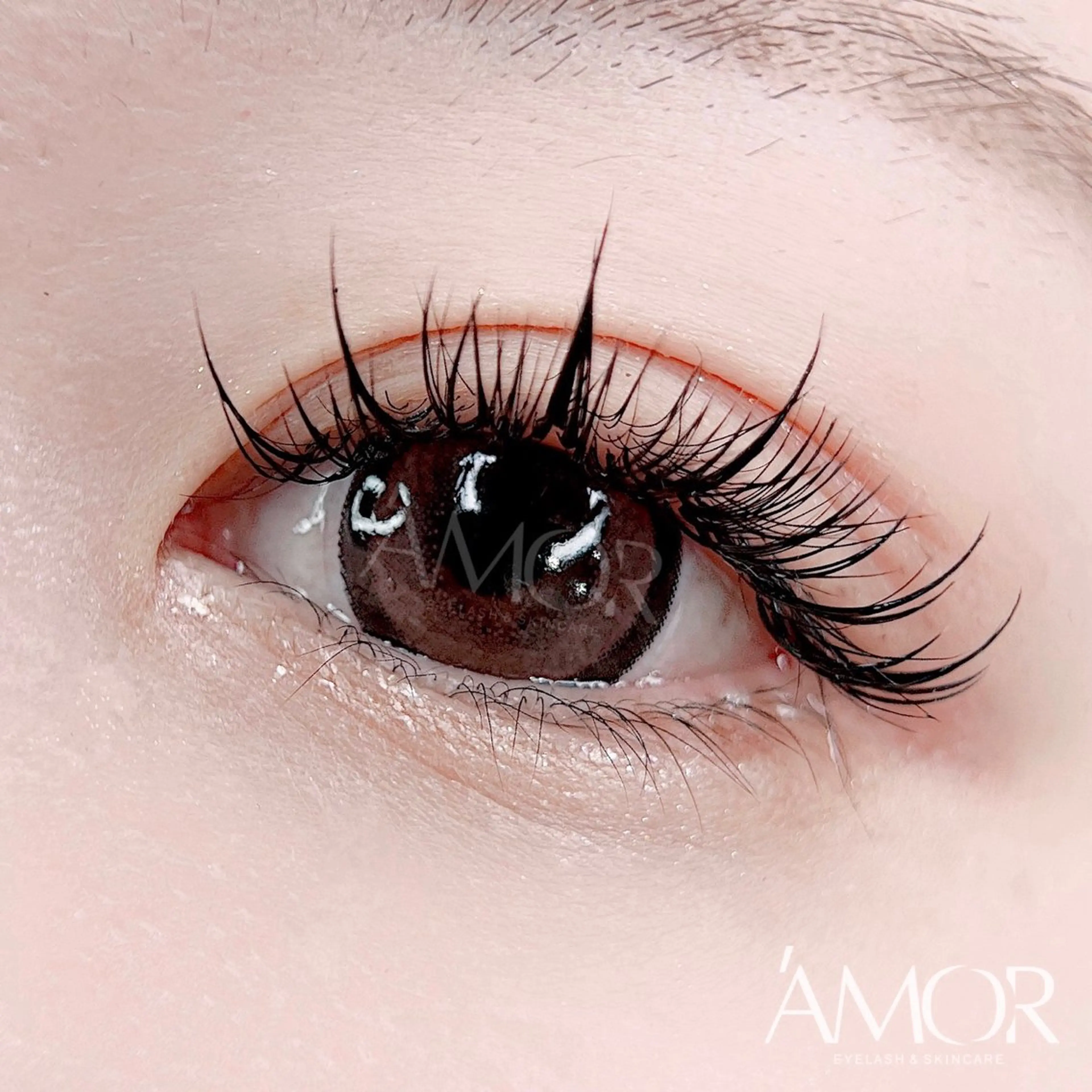 マツエク・マツパ Amor所属・AMOR EYELASHのマツエク・マツパデザイン