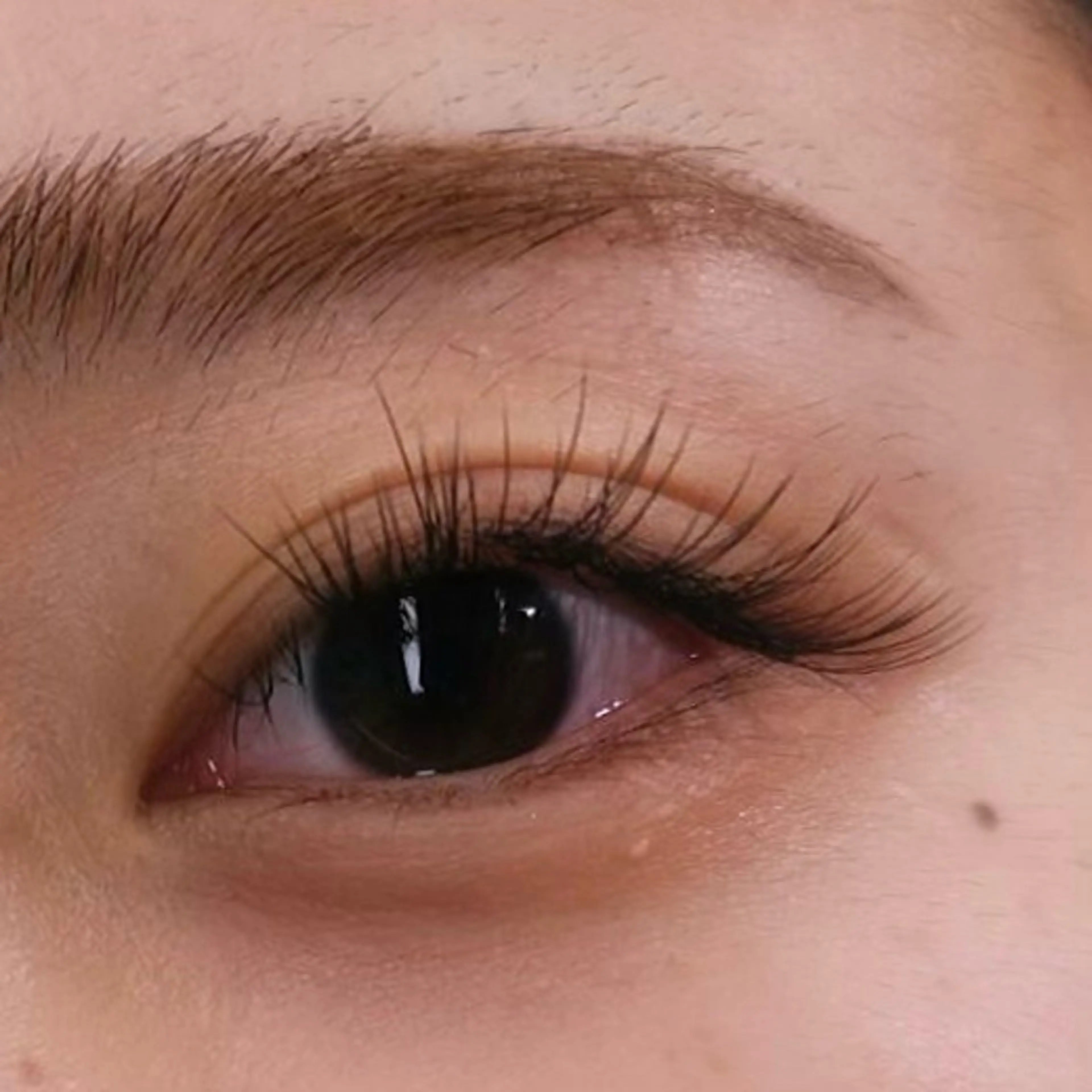 マツエク・マツパ ココラッシュ所属・ココラッシュ matsumotoのマツエク・マツパデザイン