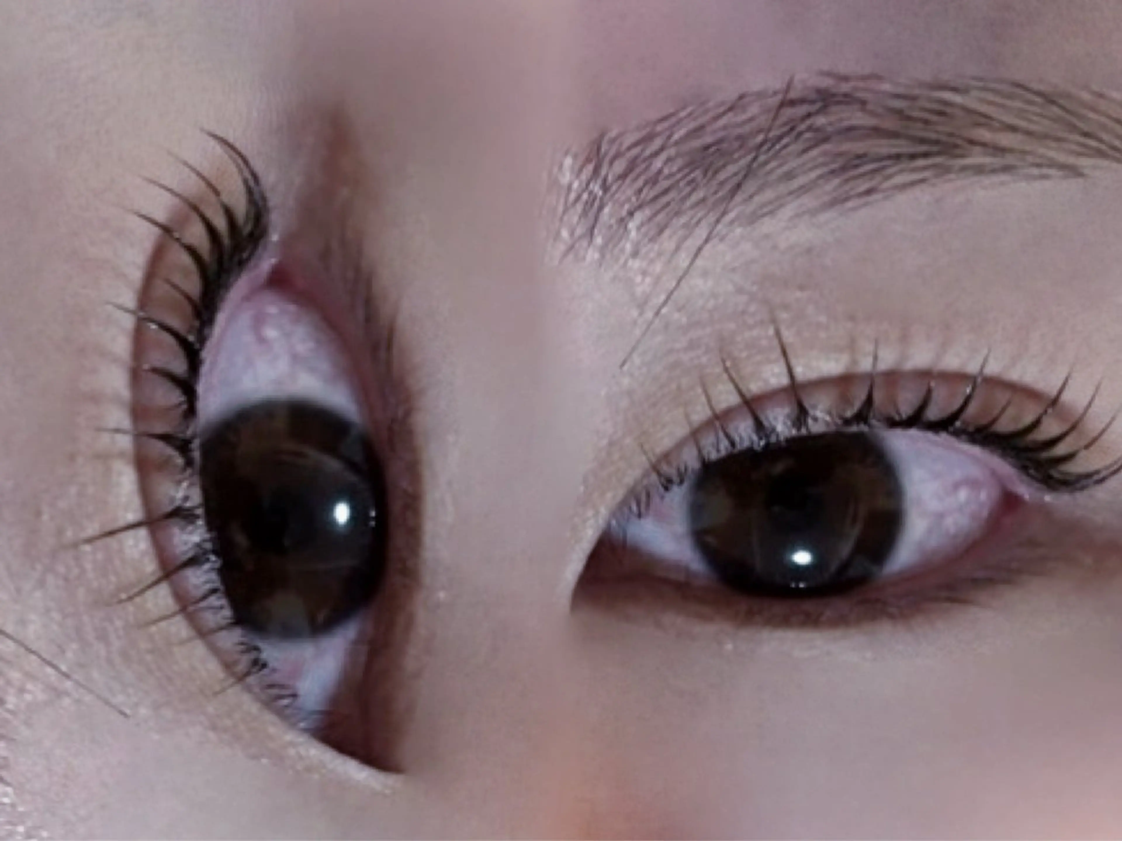 パーマ マツパ マリーテレジア HORIBEのマツエク・マツパデザイン