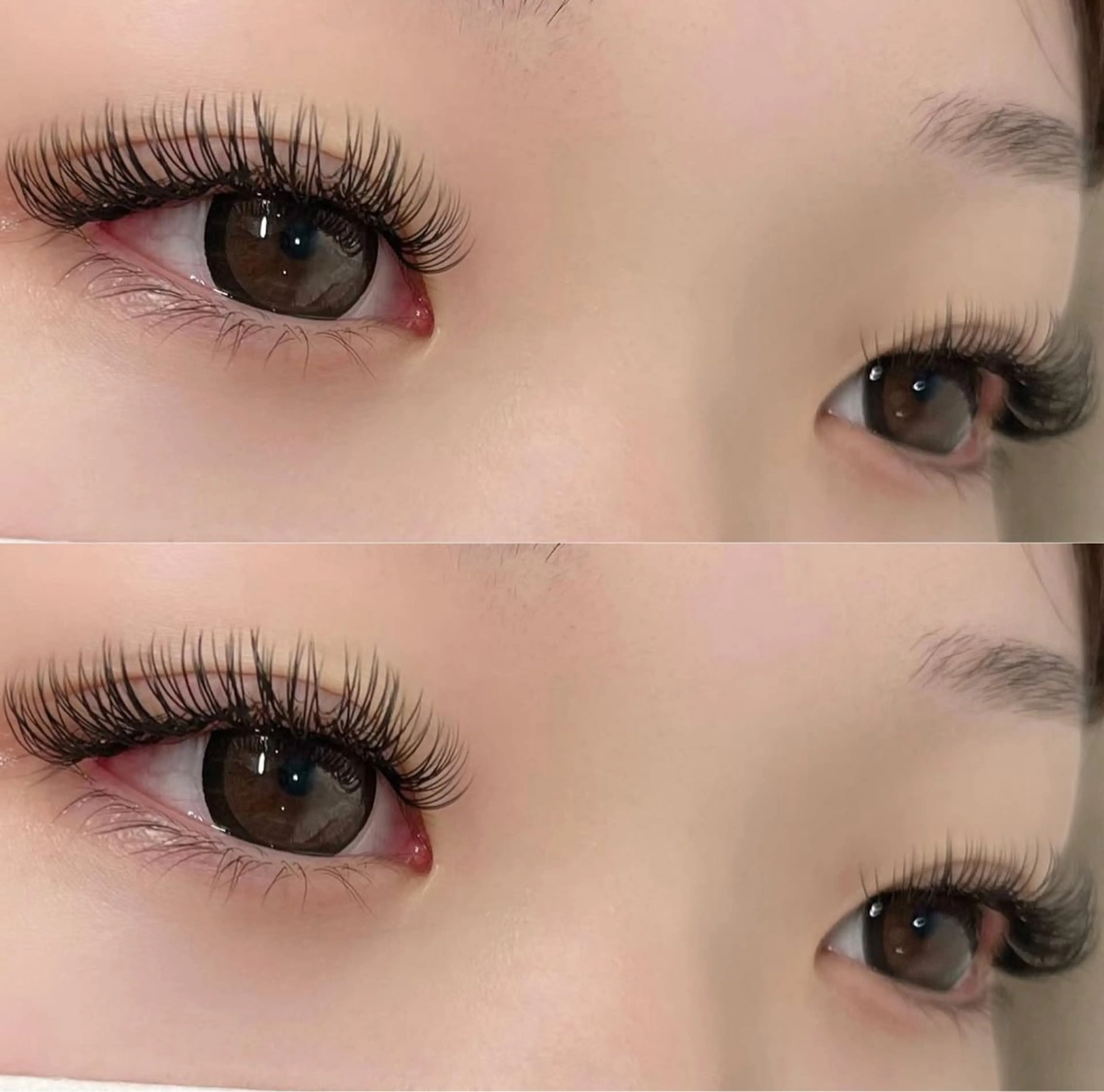 ダブルフラットラッシュ250本【オフあり】の写真