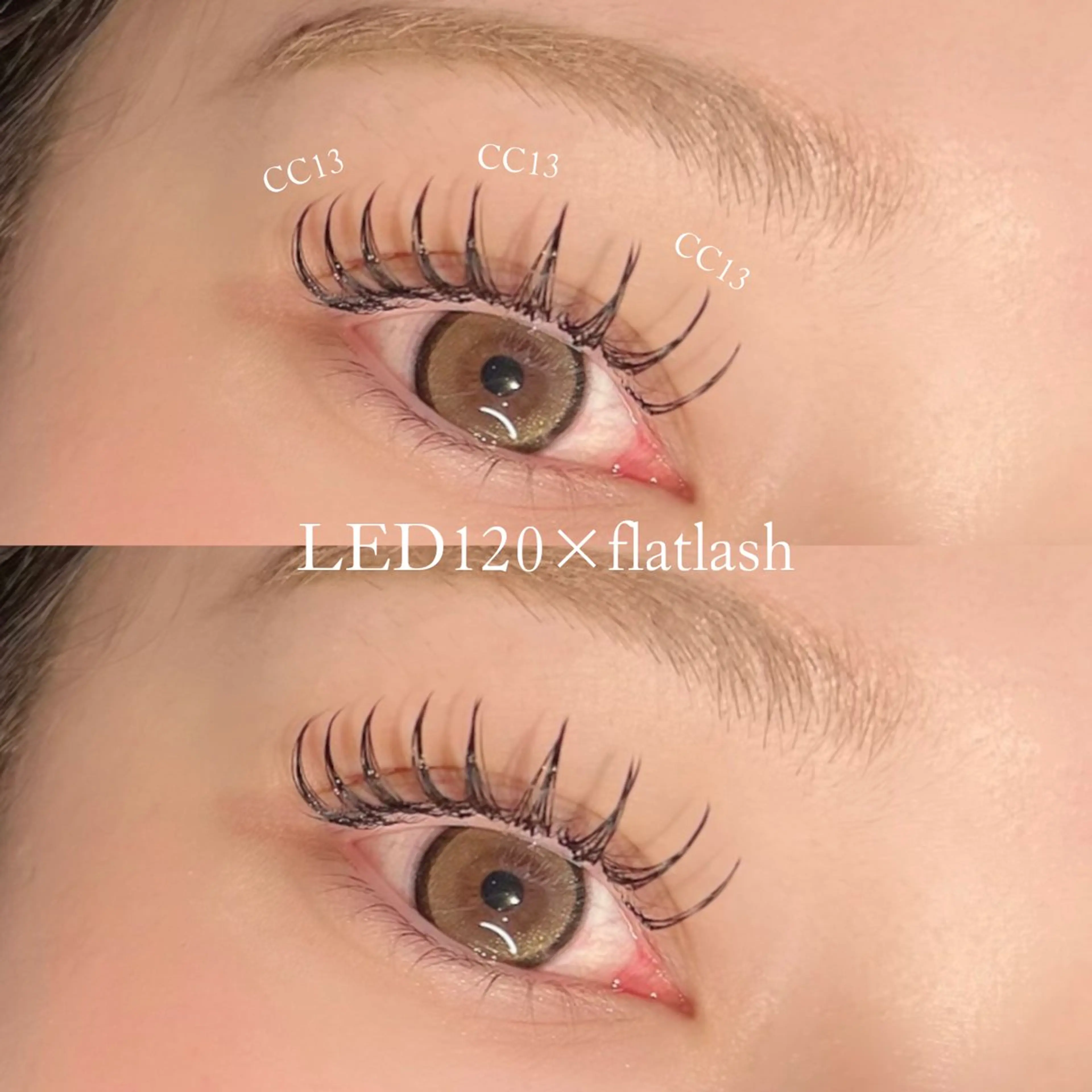 【LEDフラットラッシュ120本💎】ご新規様¥5900(オフなし˖*)の写真