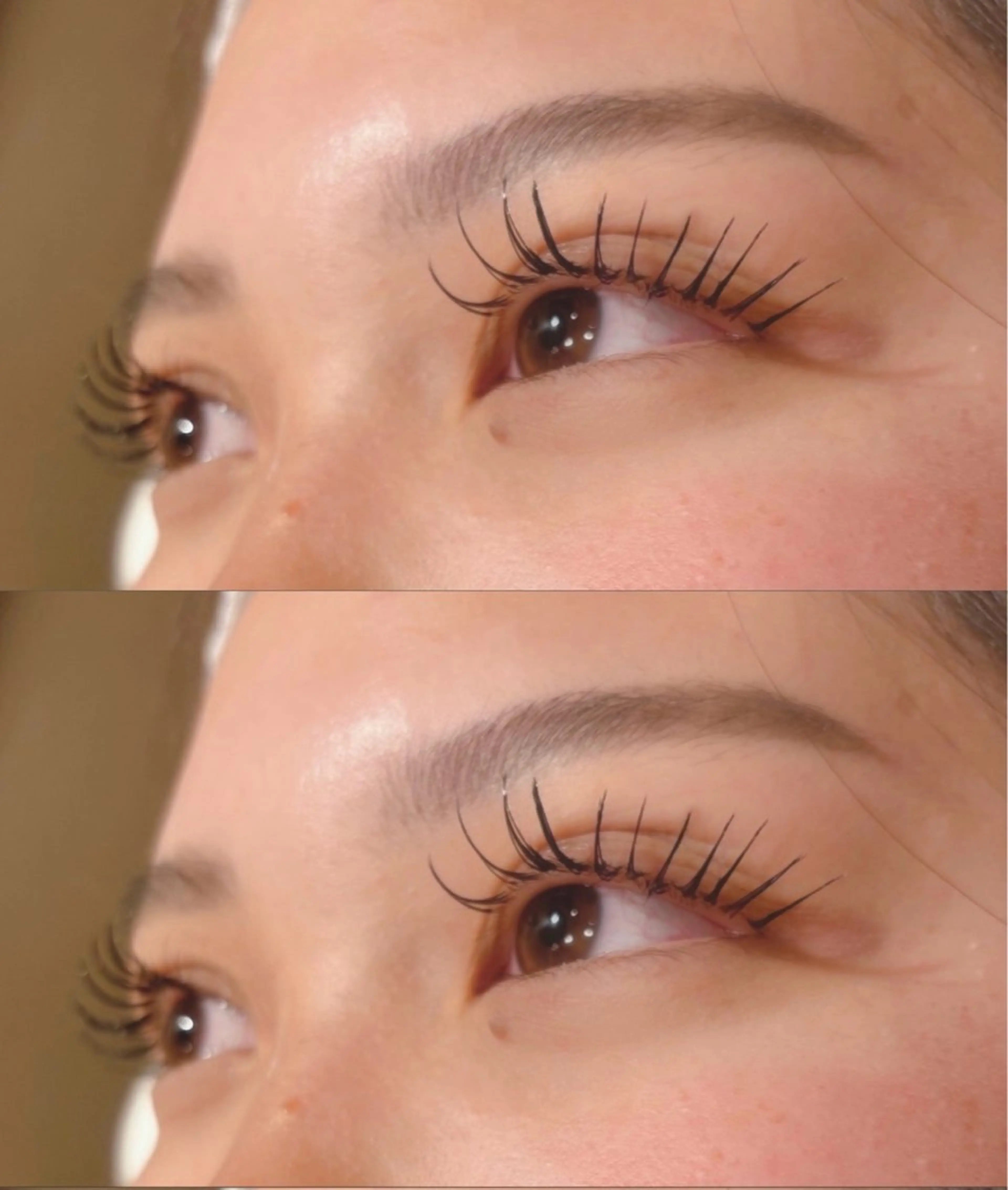 【本日限定🌻】練習モデル✨マツエクミンク100本までオフあり可◎ フラットラッシュに変更可◎の写真