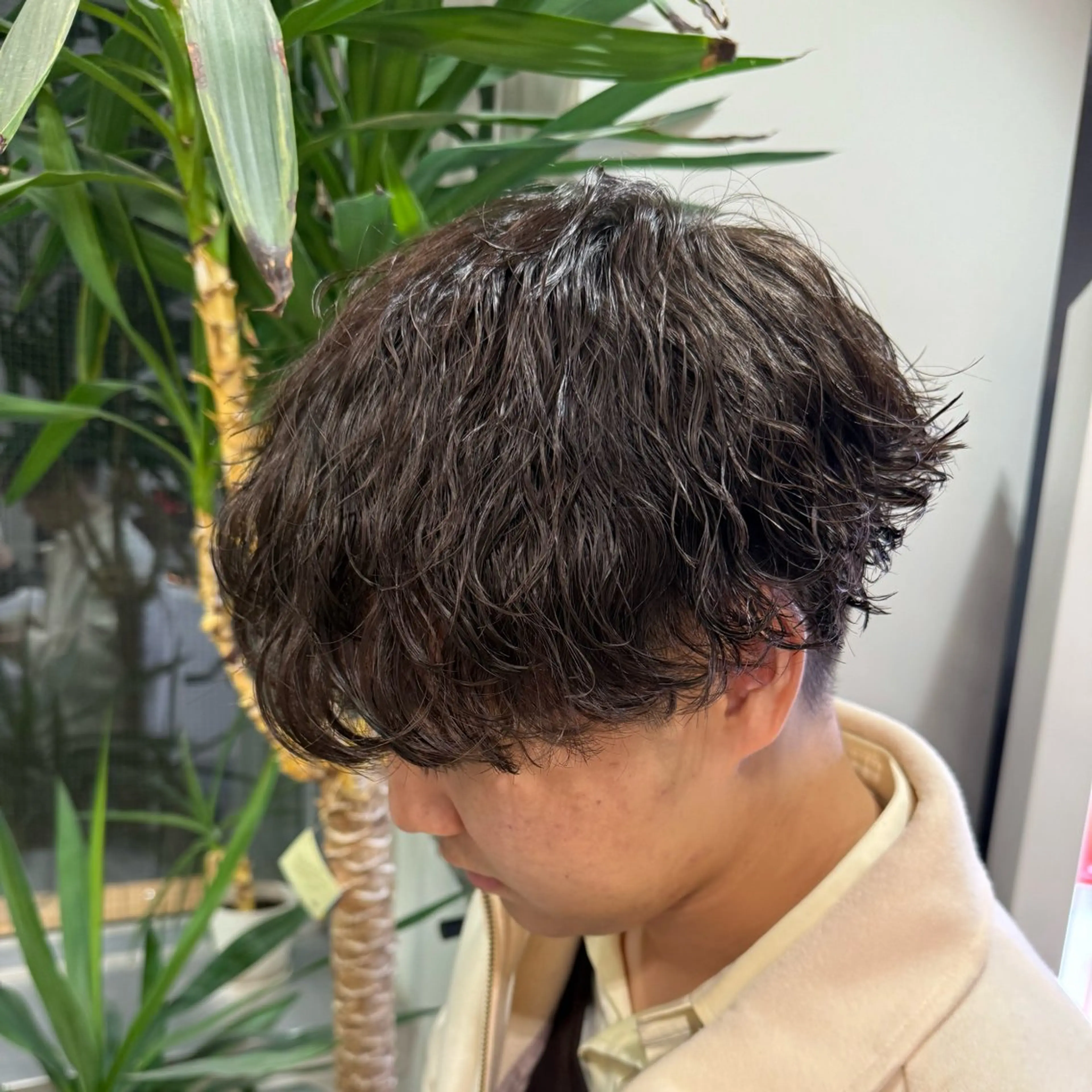 【メンズ限定】カット＋パーマ＋トリートメントの写真