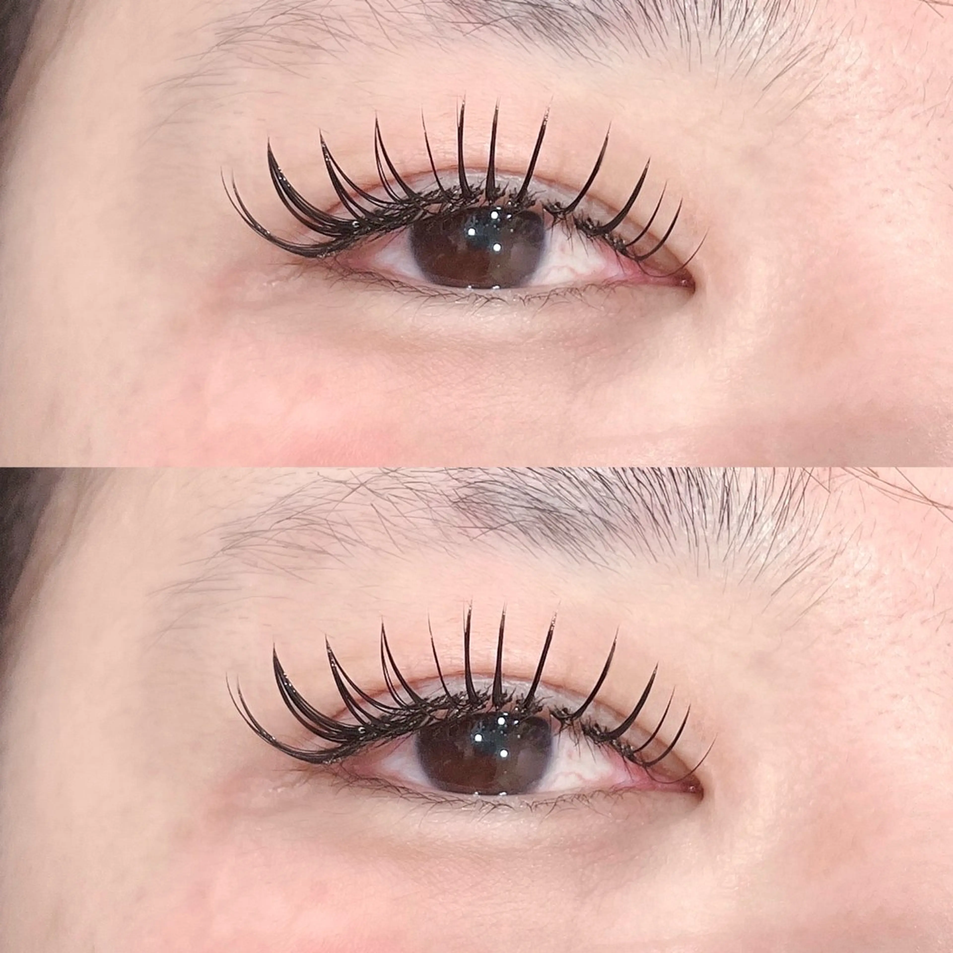 マツエク・マツパ マツエク 🤍Lupinus/ AMI🤍のマツエク・マツパデザイン