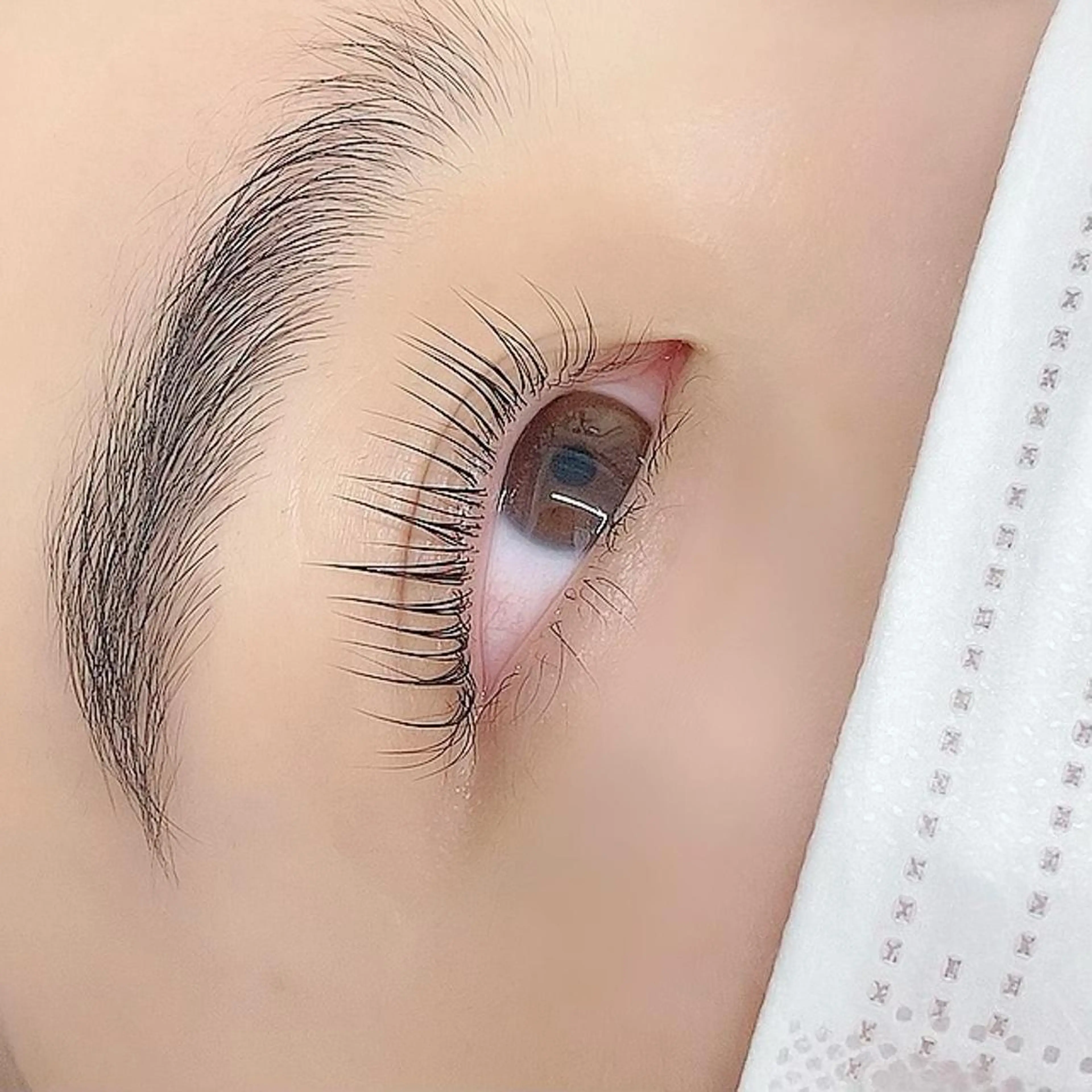 🦋まつ毛パーマ&眉毛wax🦋 補足説明必ずご覧下さい😌の写真