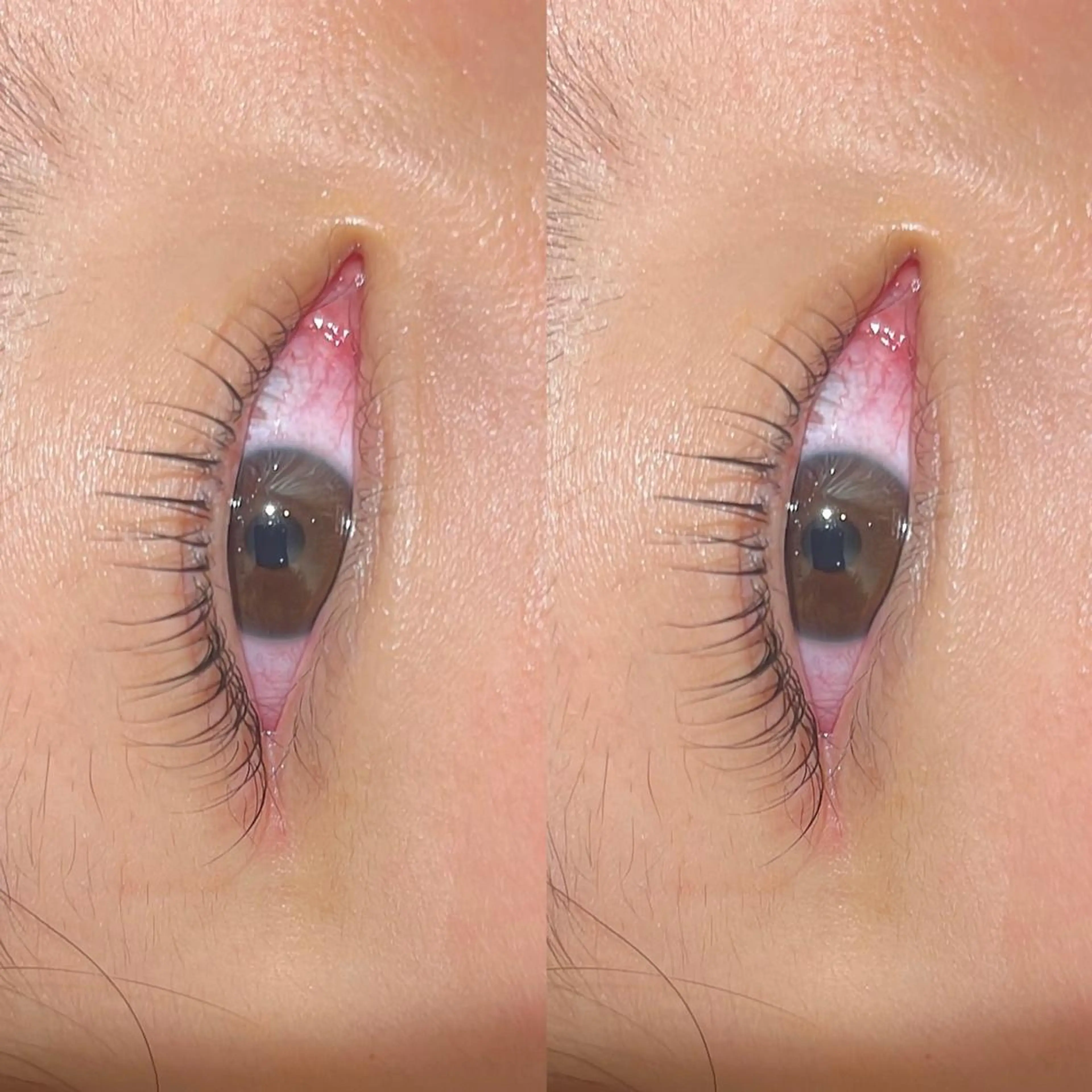 マツエク・マツパ 谷野 春香のヘアスタイル