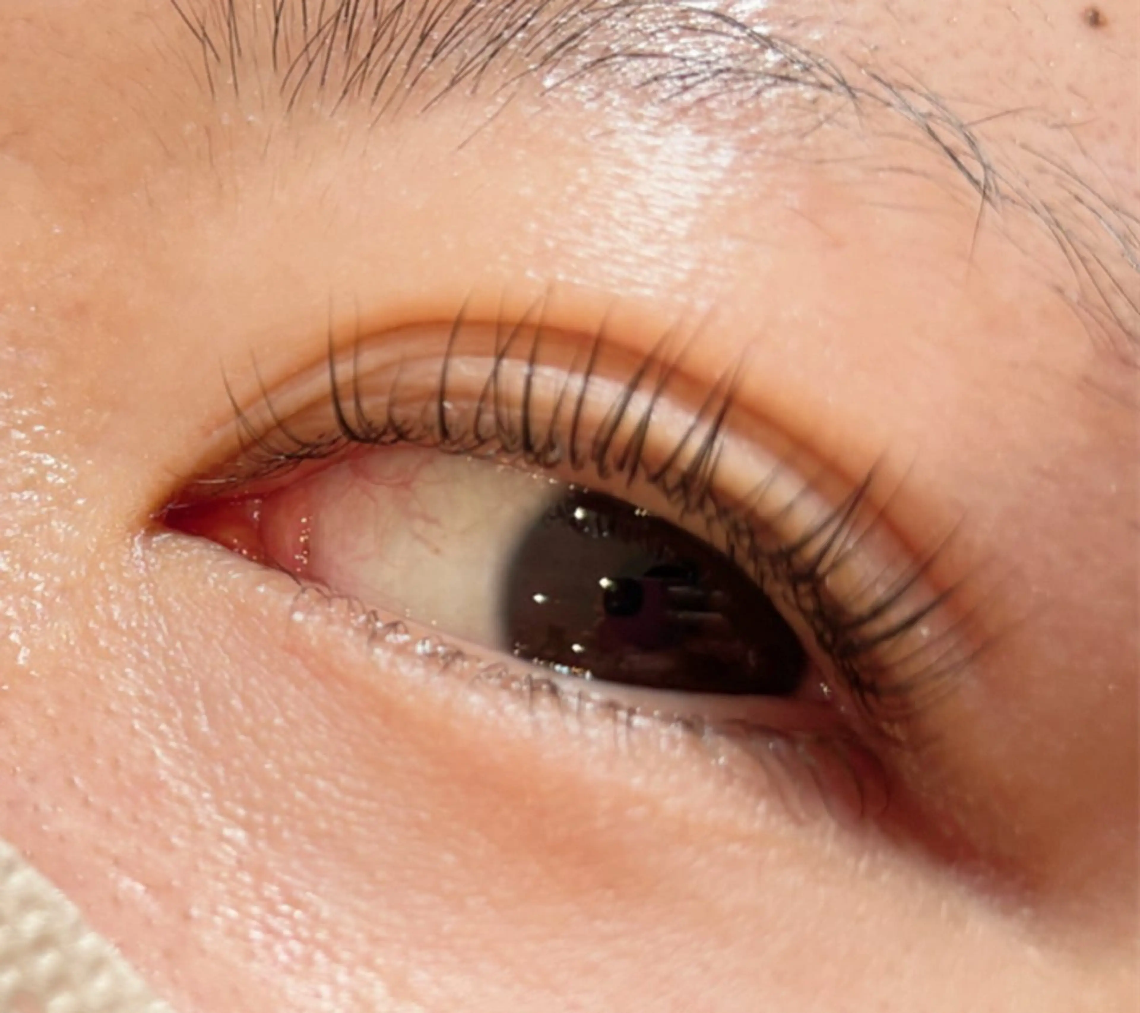 マツエク・マツパ chouchou .柏の葉🤍箭内海咲のマツエク・マツパデザイン