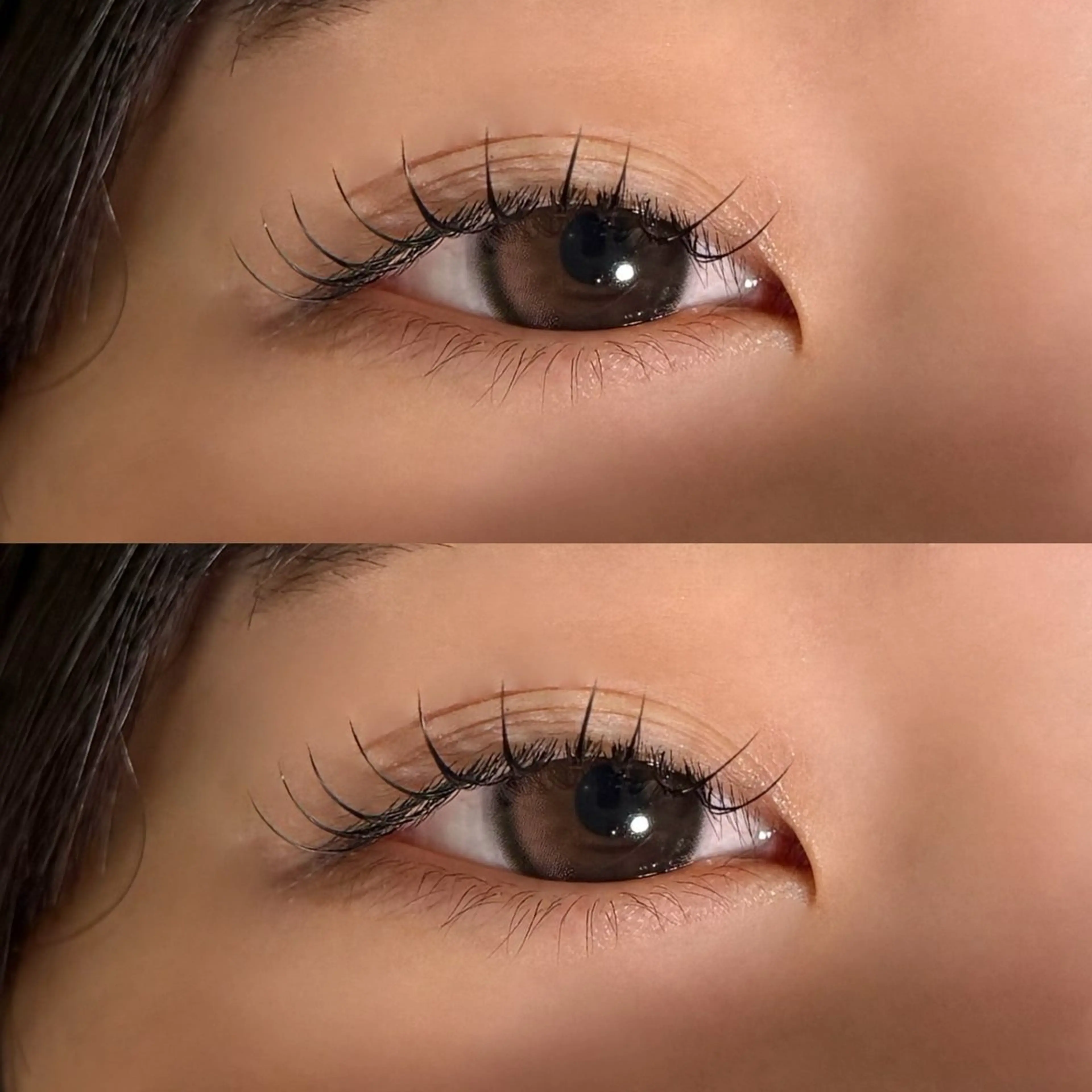 マツエク・マツパ マツエク 🐾ROAR🐾 HAZUKIのマツエク・マツパデザイン