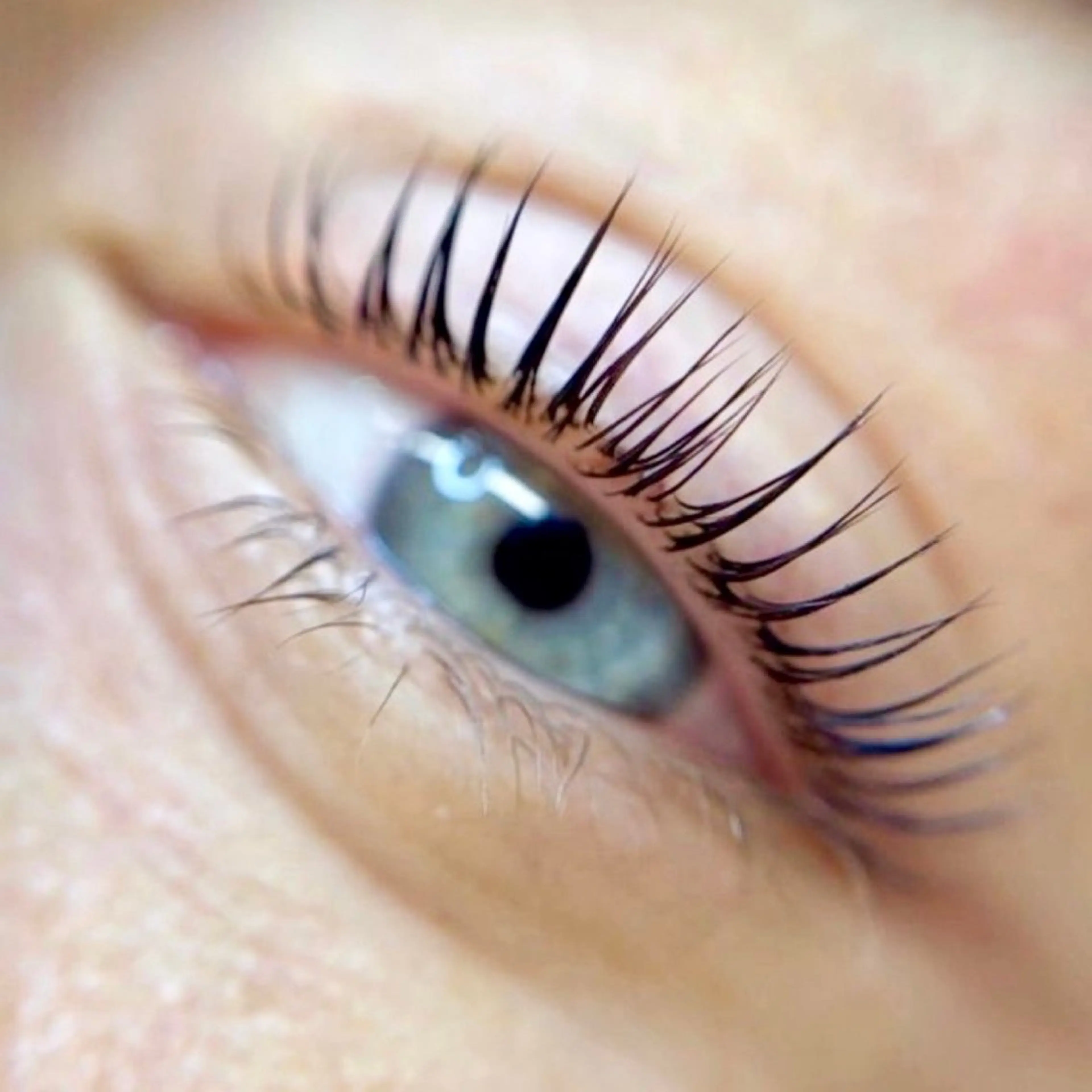 マツエク・マツパ ＊Roco’Lush 田口＊(三軒茶屋)のマツエク・マツパデザイン