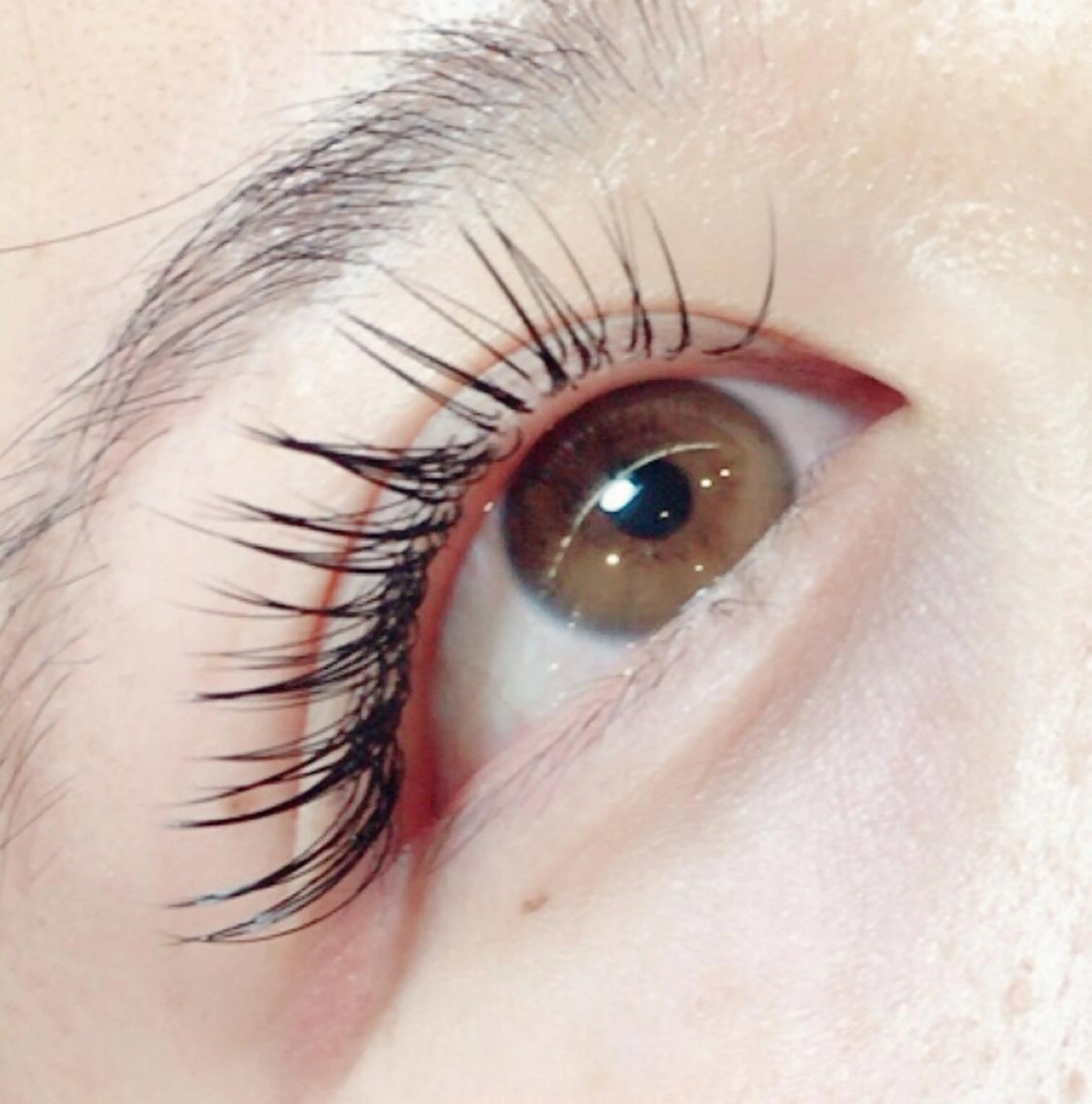 マツエク・マツパ セーブル 🪄◝ cake harunoのマツエク・マツパデザイン