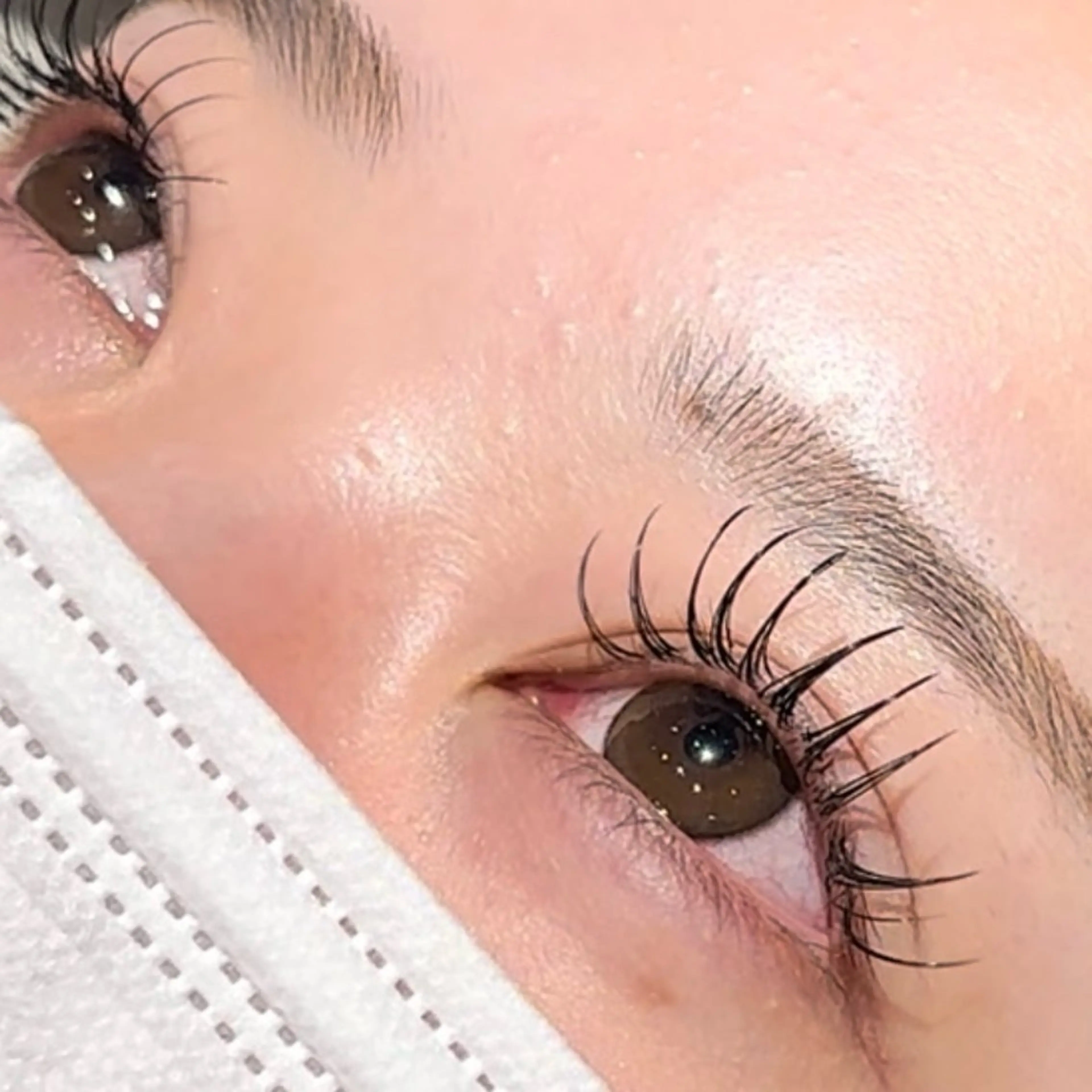 フラットラッシュ ＊本数           120本の写真