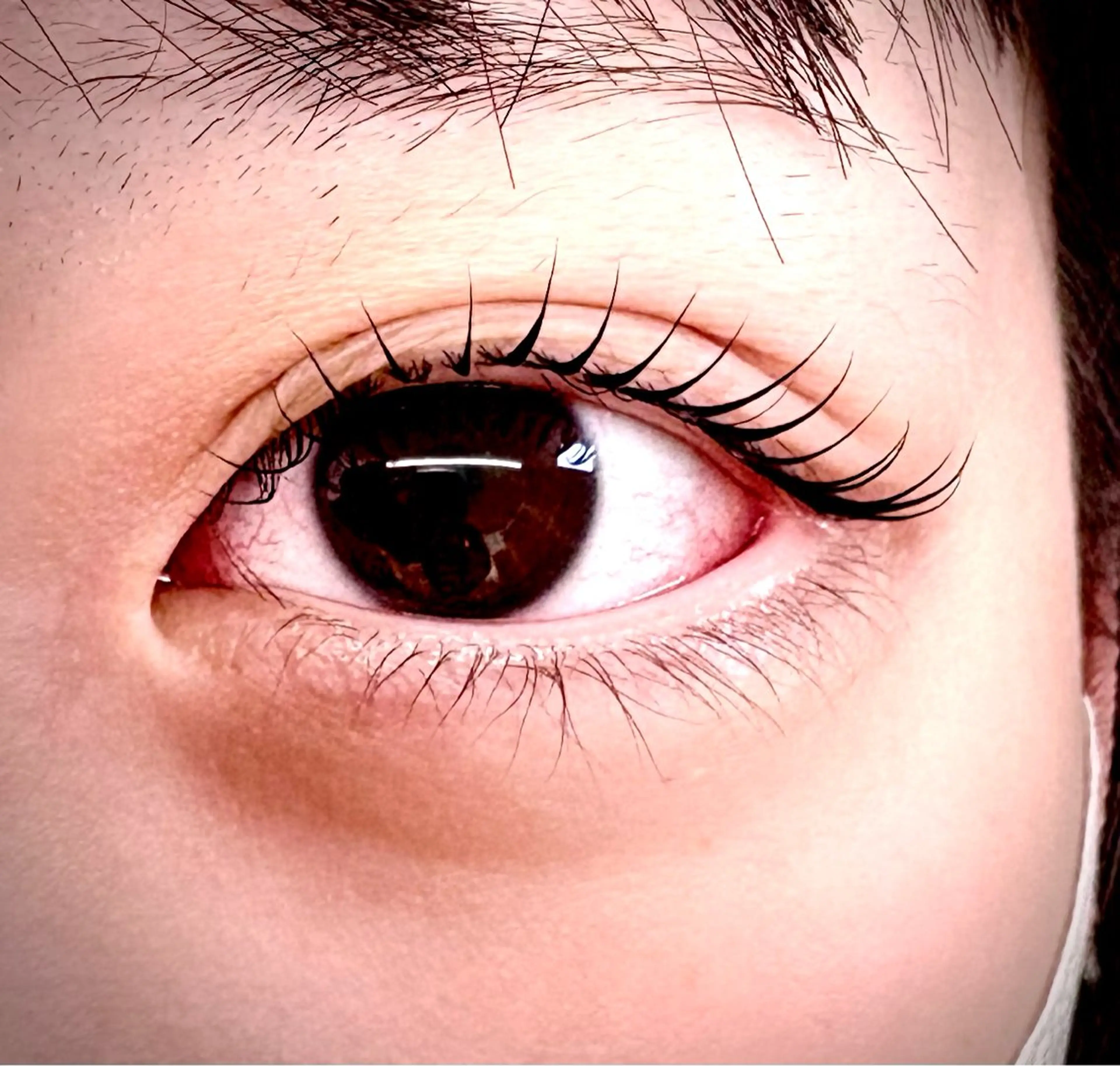 🤍まつ毛パーマ、Lashlift🤍今だけ価格♪ご新規様限定の写真