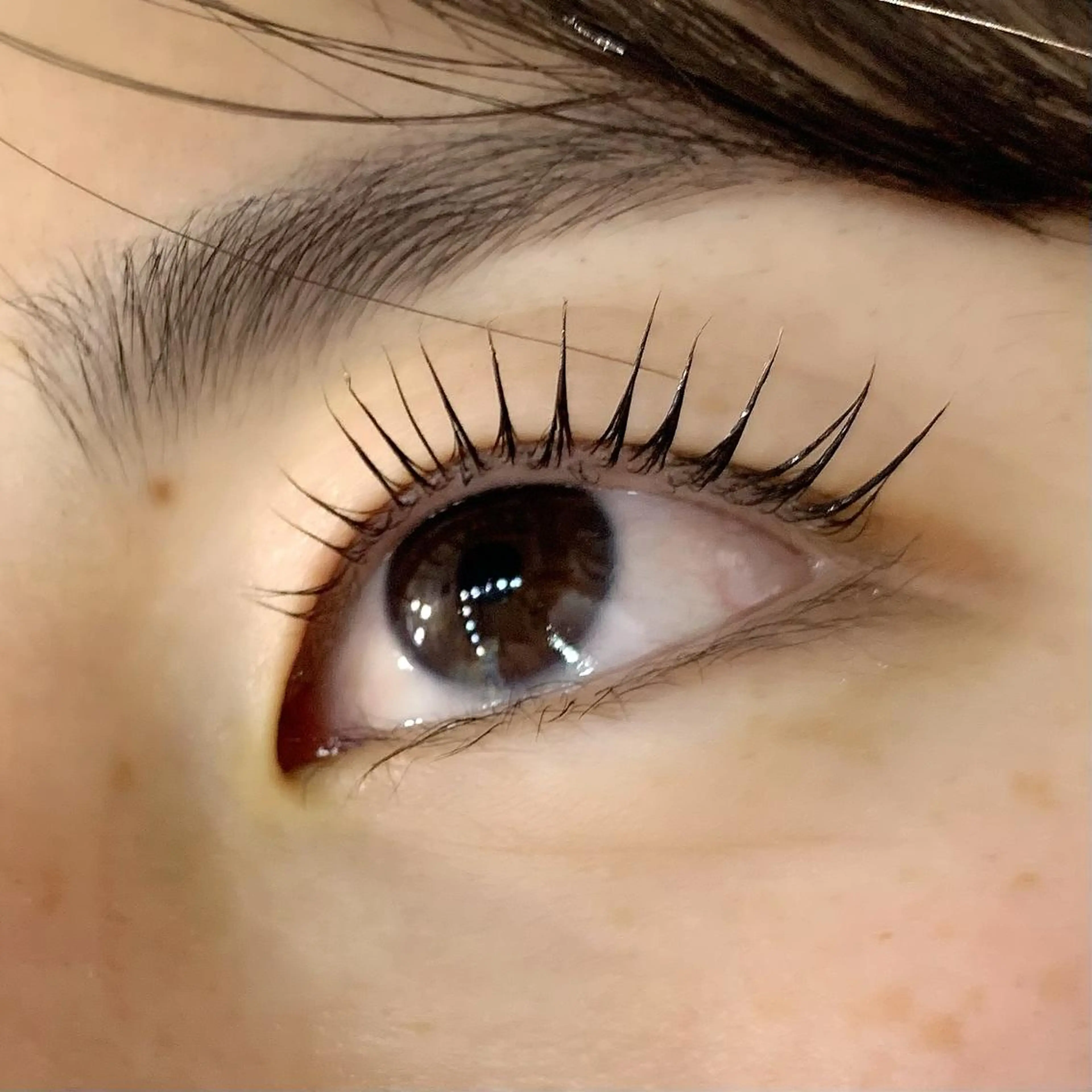 マツエク・マツパ 一重×まつ毛パーマ Celeste Venus所属・🧸Celeste Venusのマツエク・マツパデザイン