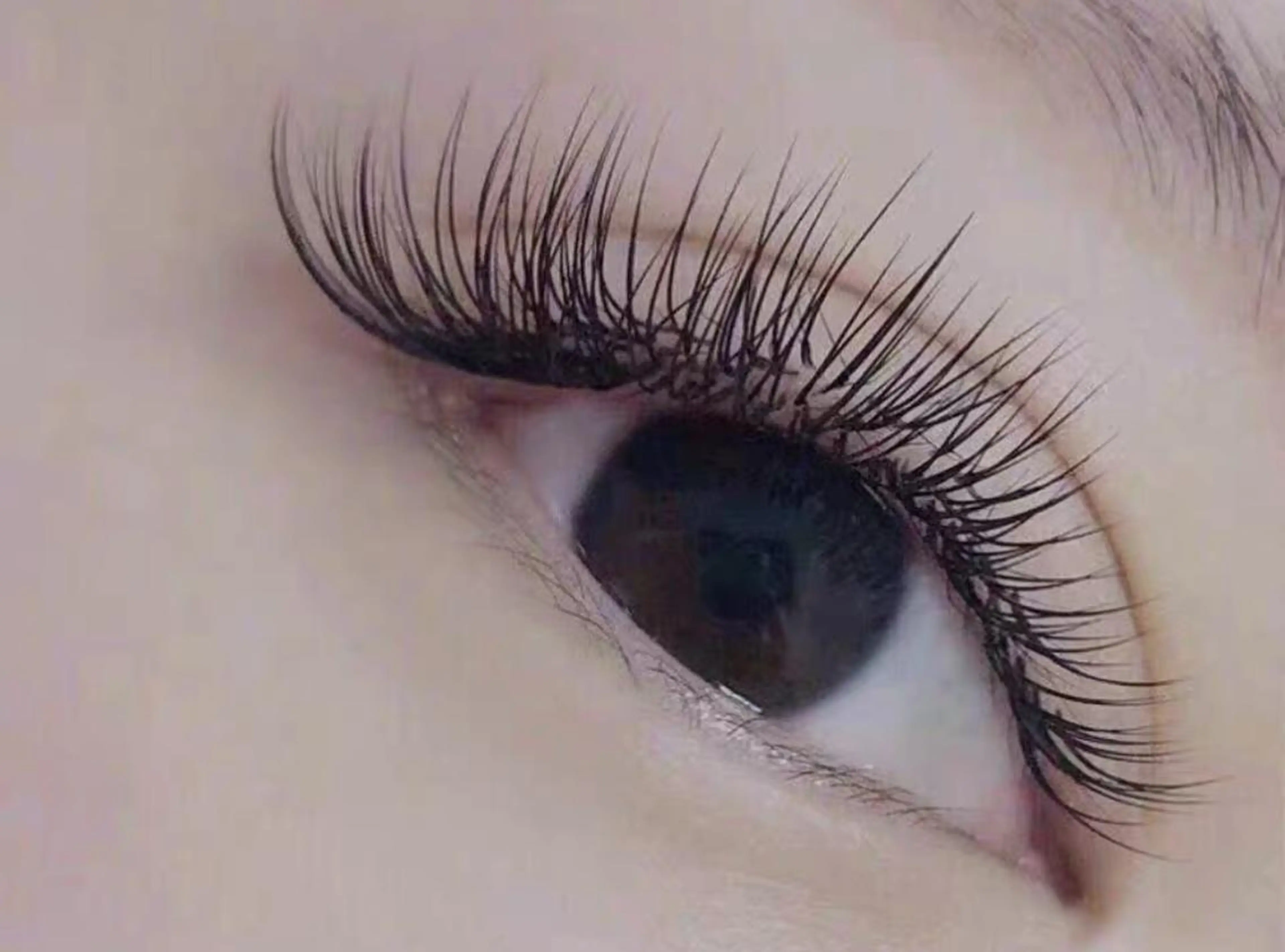 マツエク・マツパ Cute beauty2のマツエク・マツパデザイン