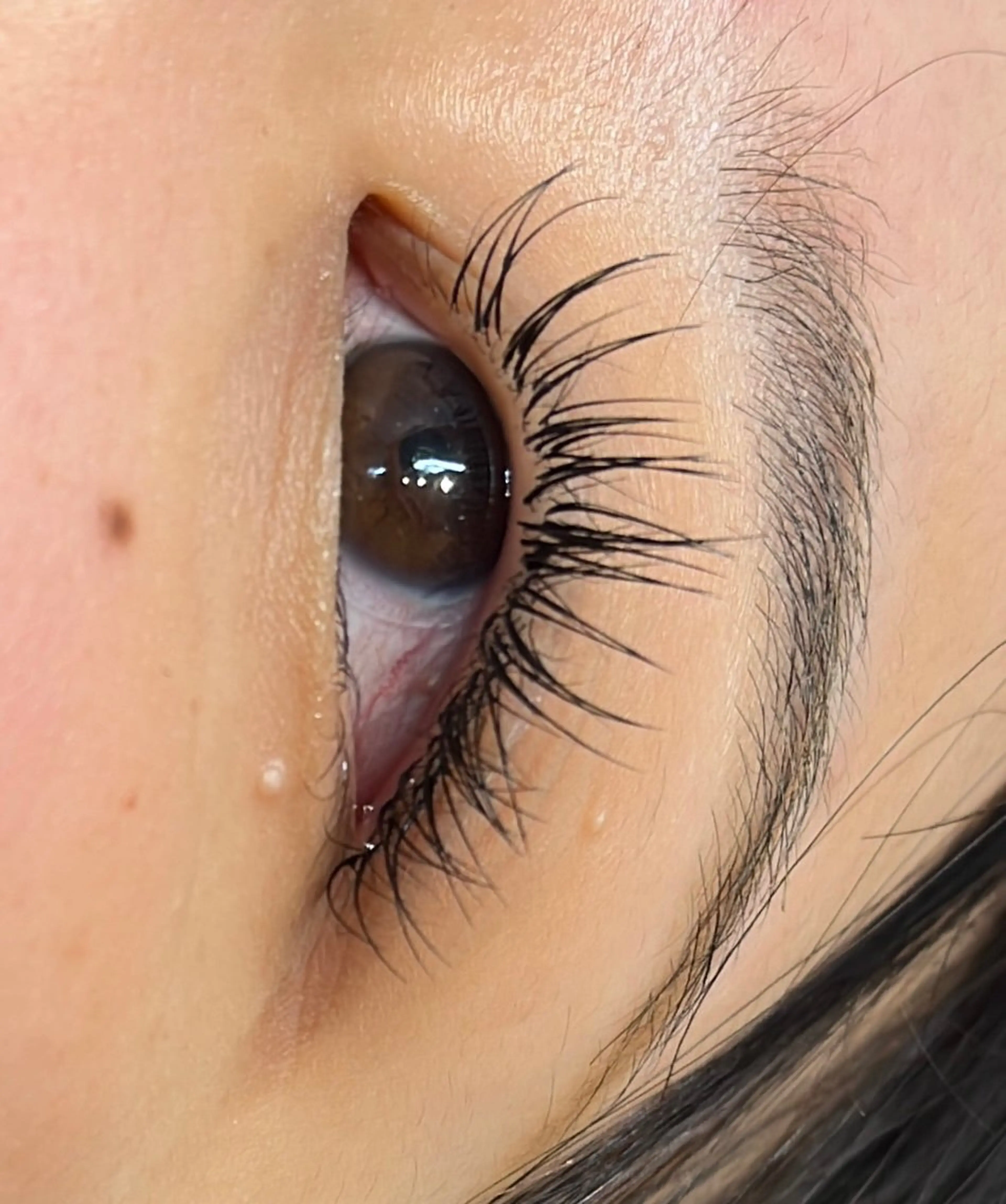 マツエク・マツパ シルク MAQUIA蒲田店 横山のマツエク・マツパデザイン