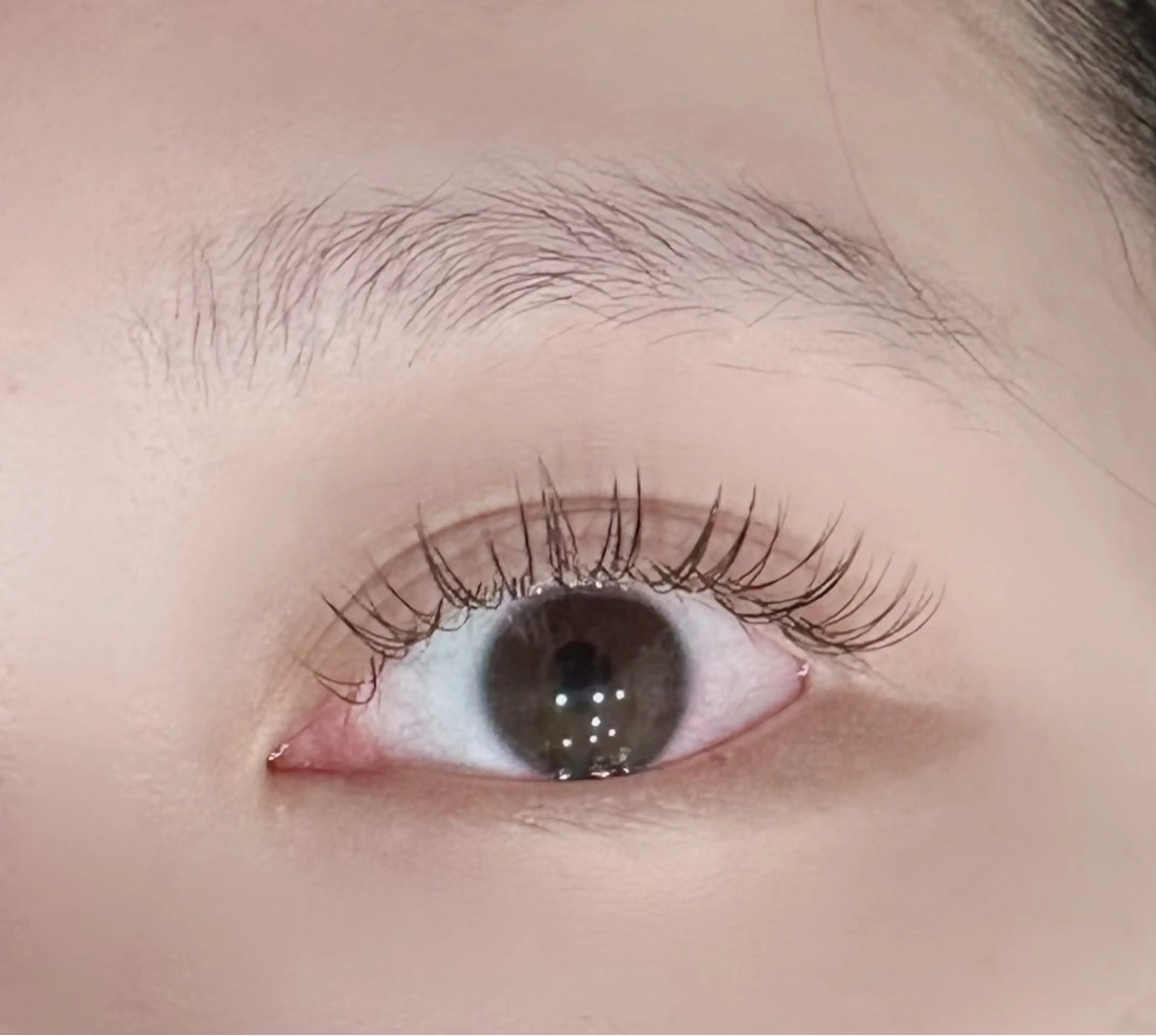 マツエク・マツパ マツエク 東京 秋のマツエク・マツパデザイン