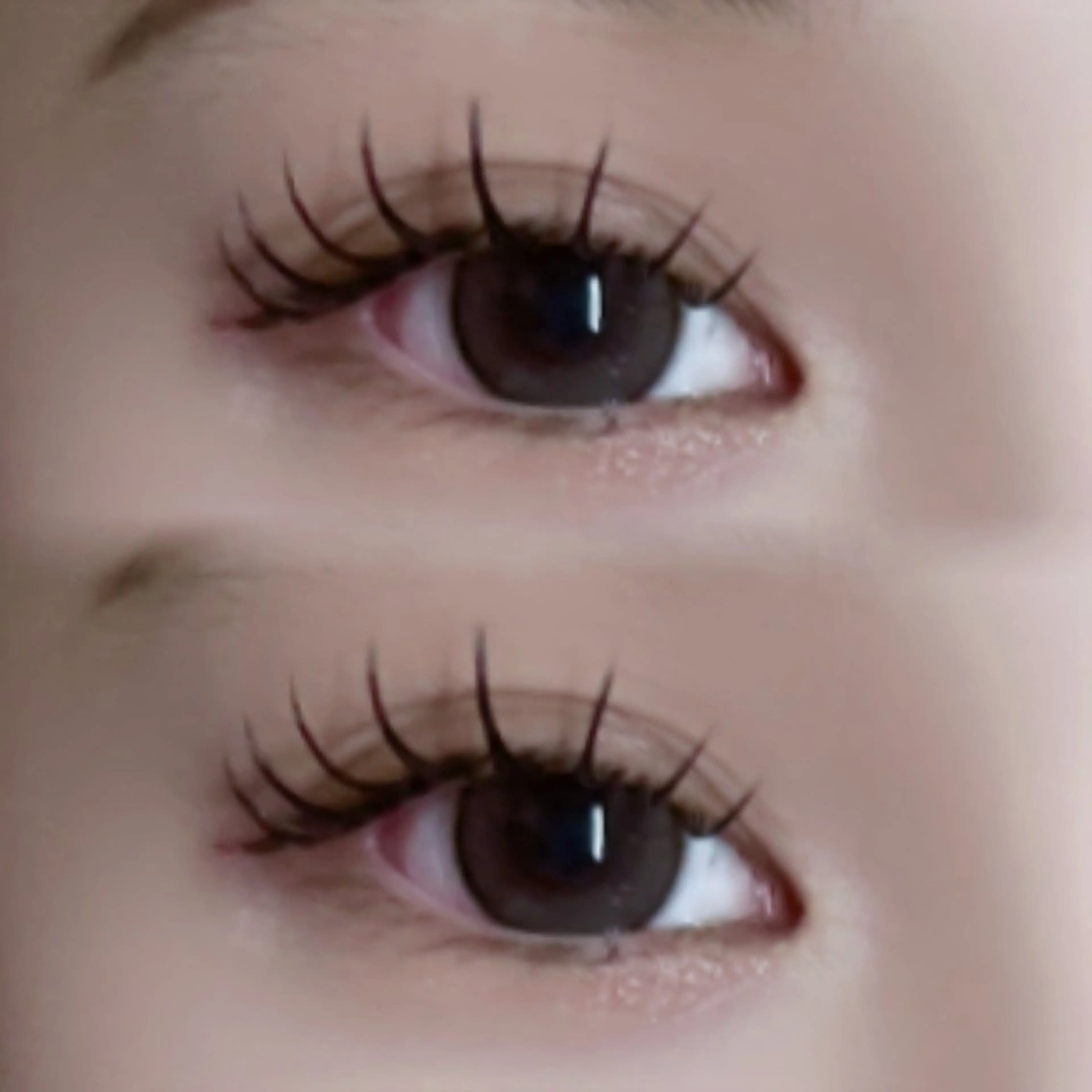 フラットラッシュ付け放題（150本​〜​180本）➕束感コーティングの写真