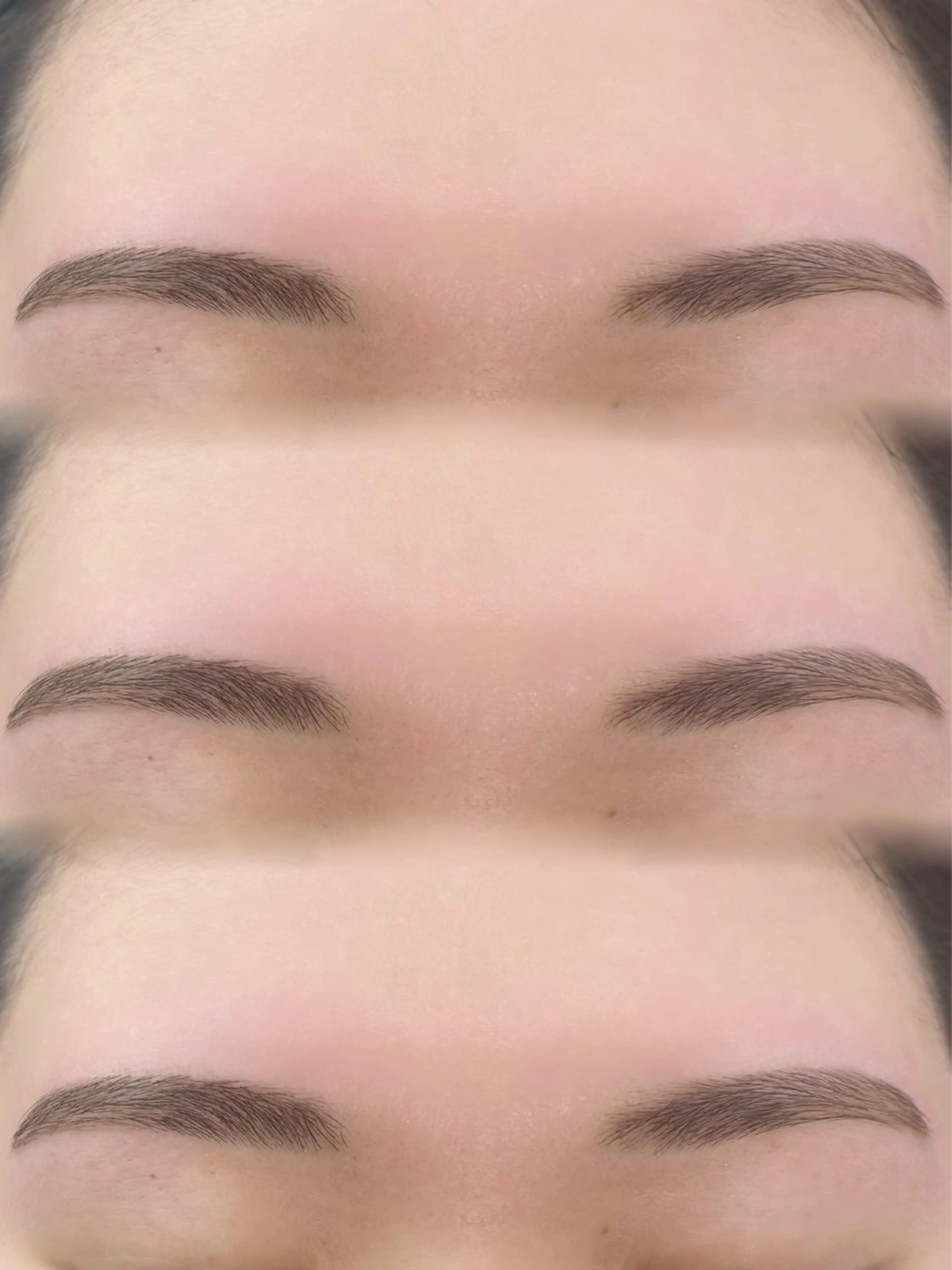 3月17日~3月27日 ※ワックス脱毛  眉カットの写真