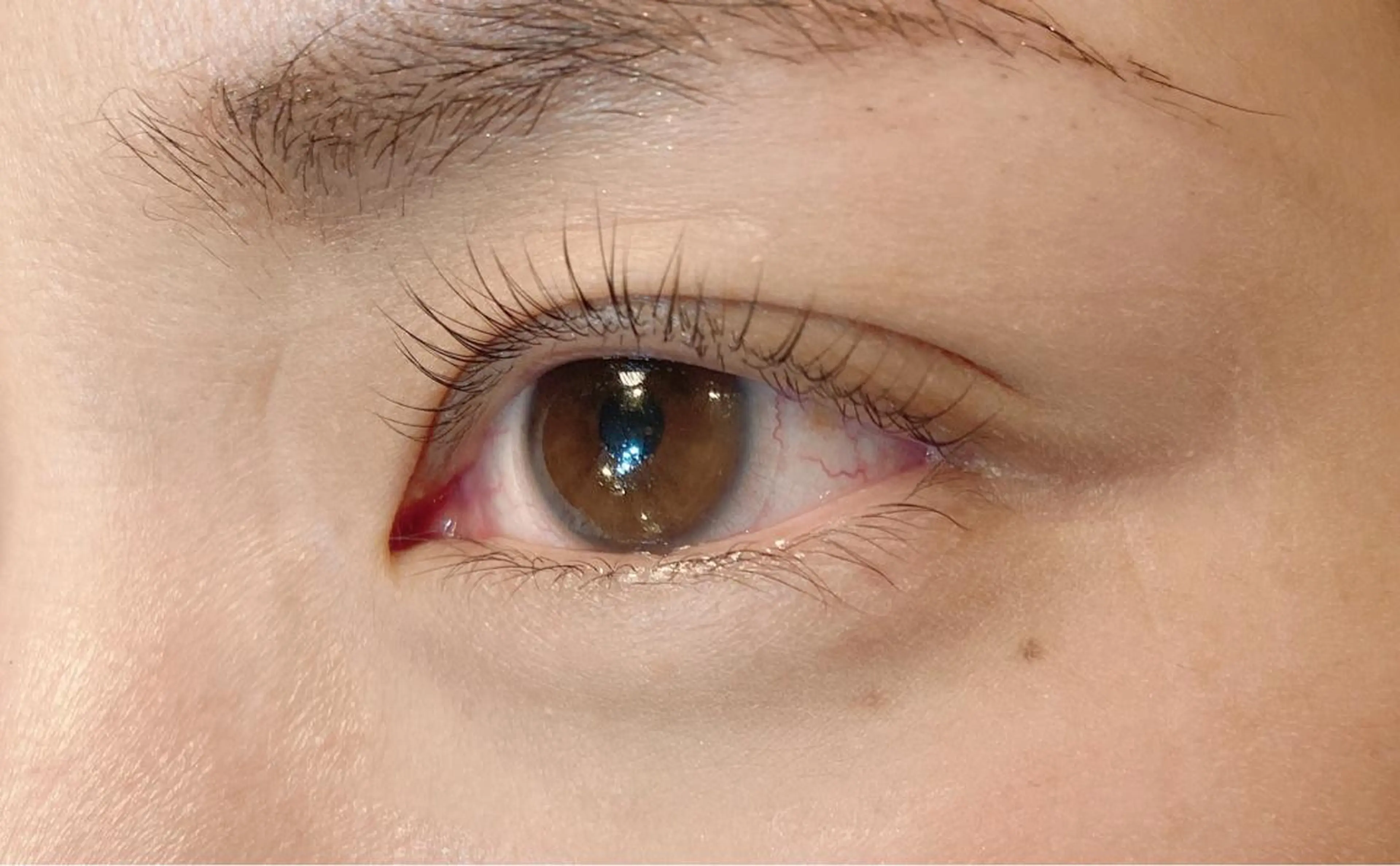 マツエク・マツパ ケラチンラッシュリフト .ula 𝑨𝒚𝒂𝒌𝒂のマツエク・マツパデザイン