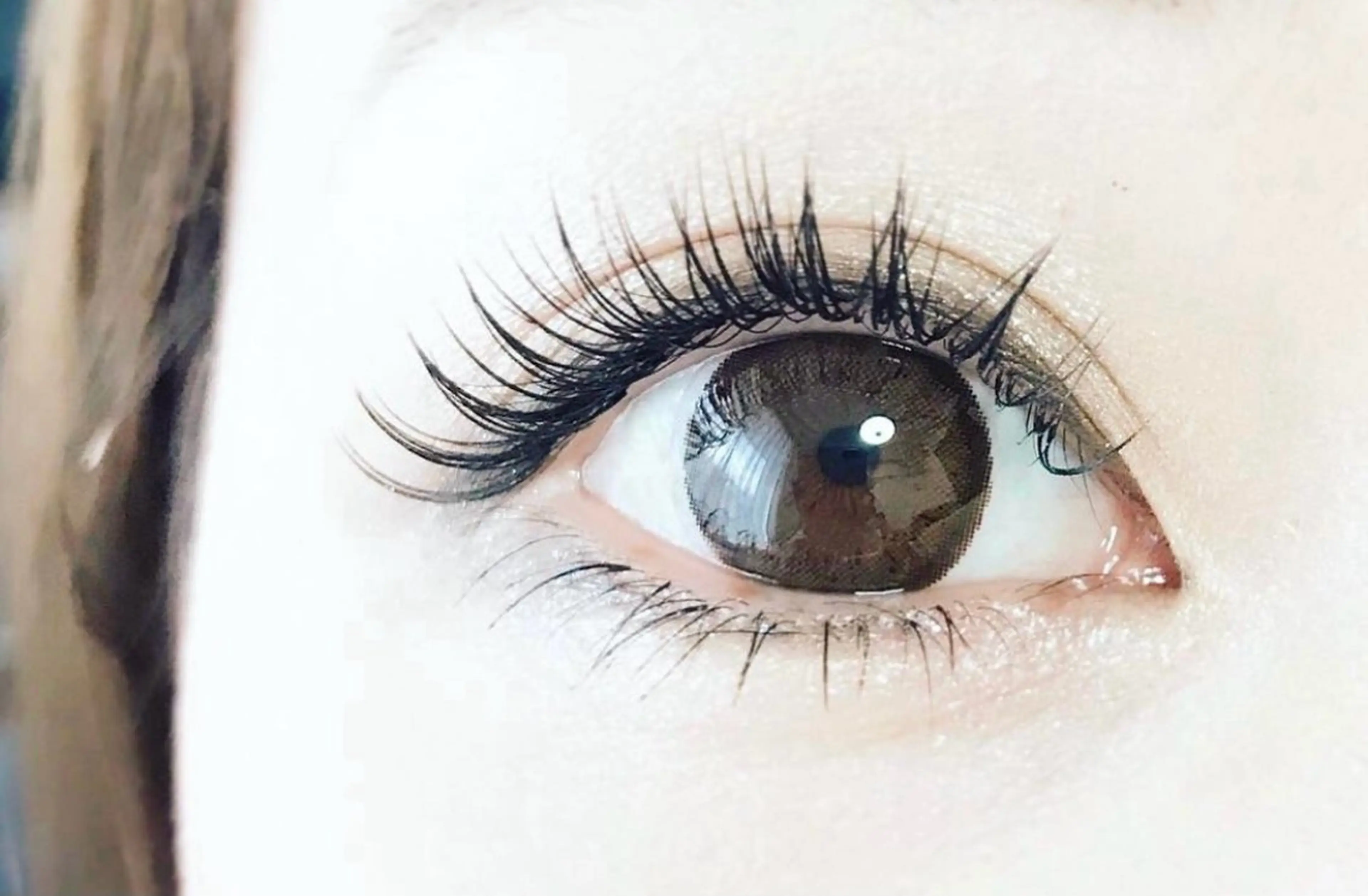 フラットラッシュ１００本の写真