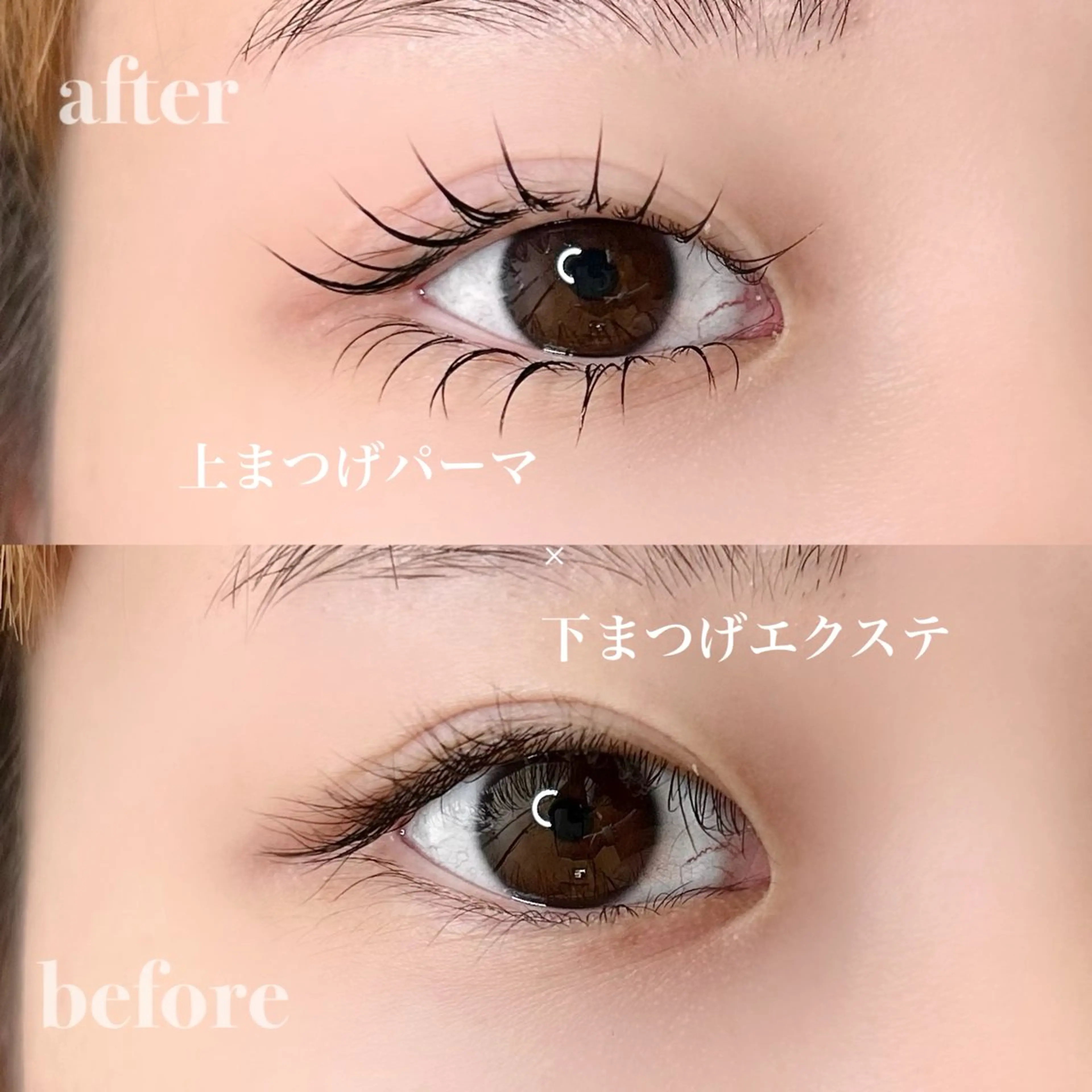 マツエク・マツパ マツパ elua eyelash所属・elua eyelashの眉毛・アイブロウイメージ
