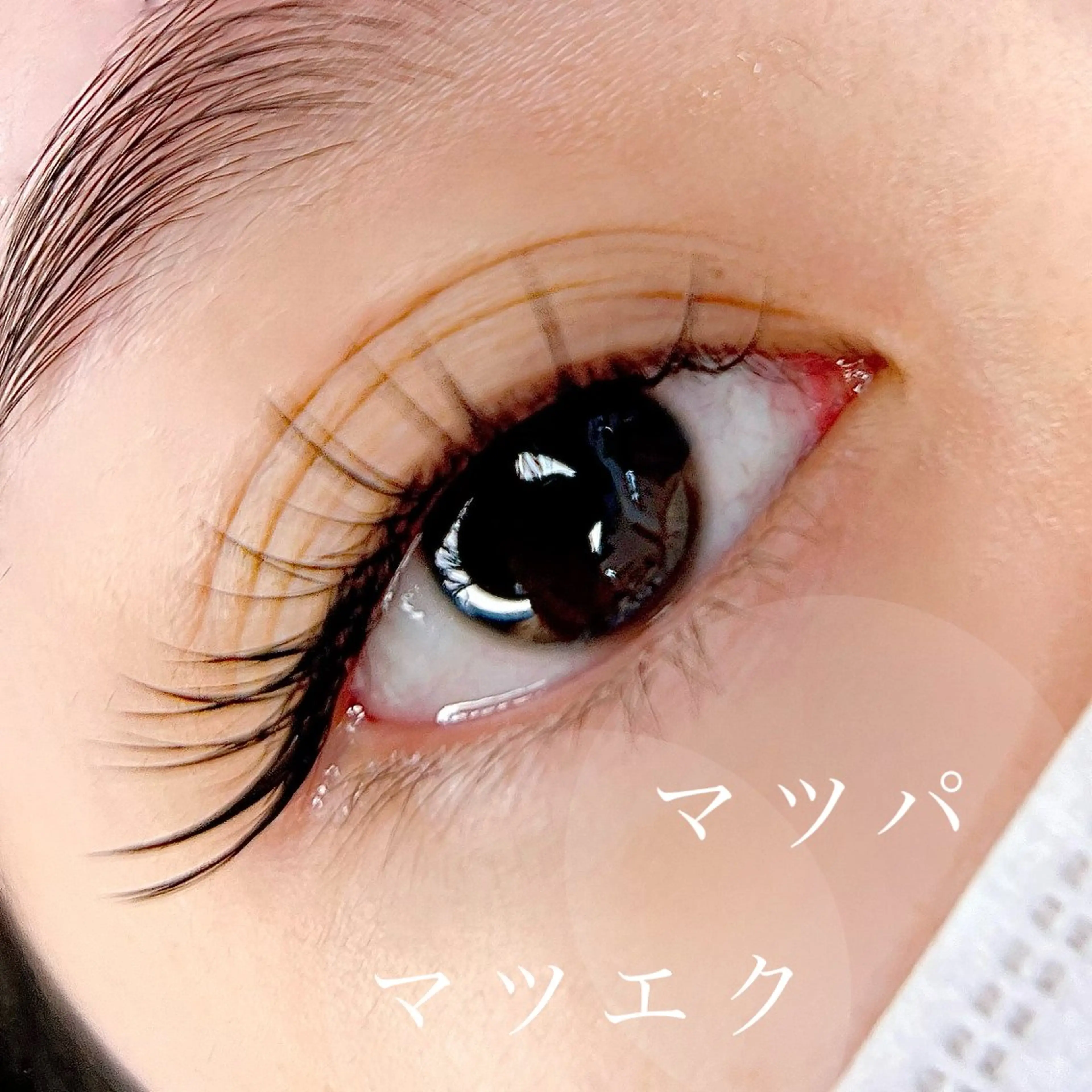 beauty salon Jasmine所属・ジャスミン Jasmineのマツエク・マツパデザイン