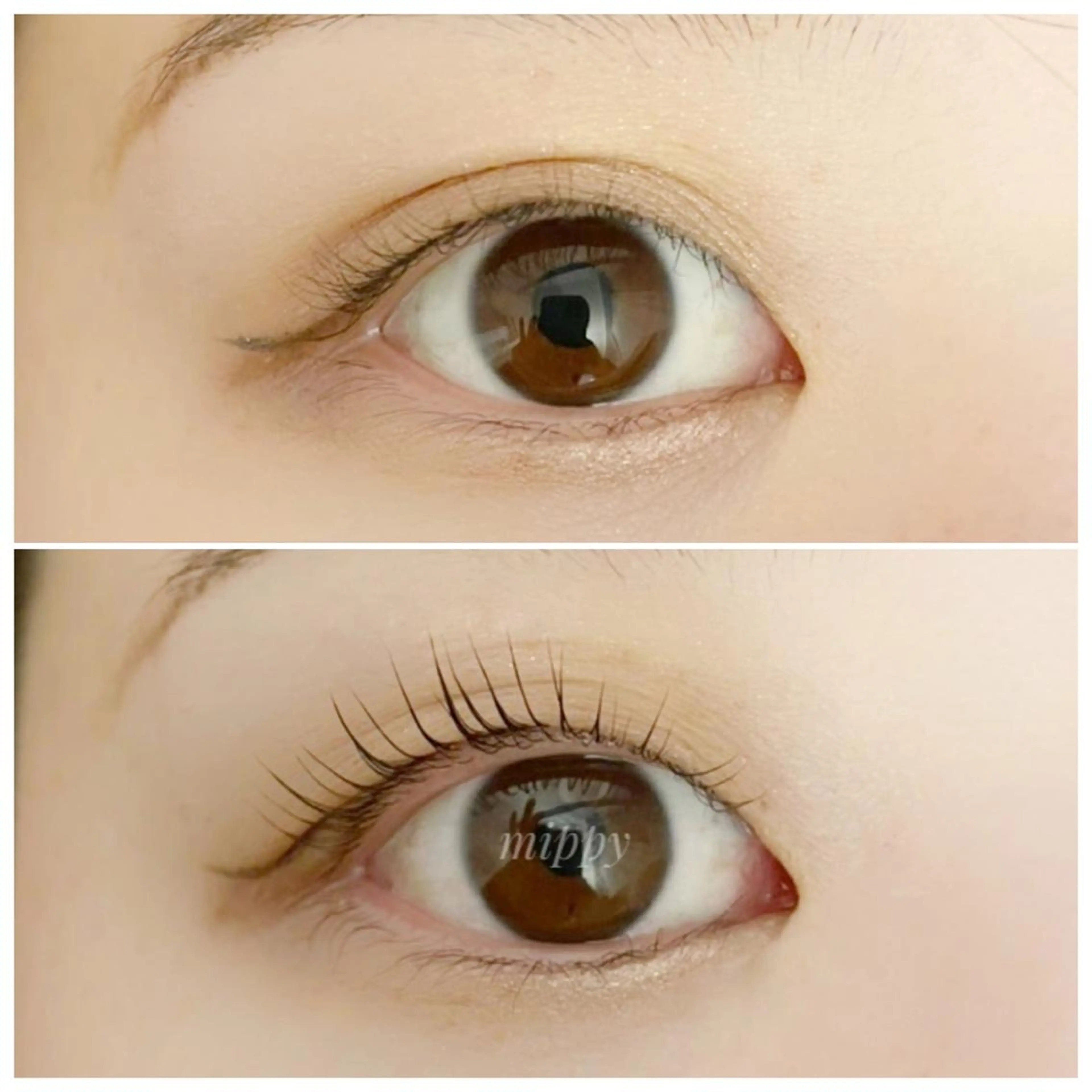 マツエク・マツパ ｍｉｐｐｙ 🪽のマツエク・マツパデザイン