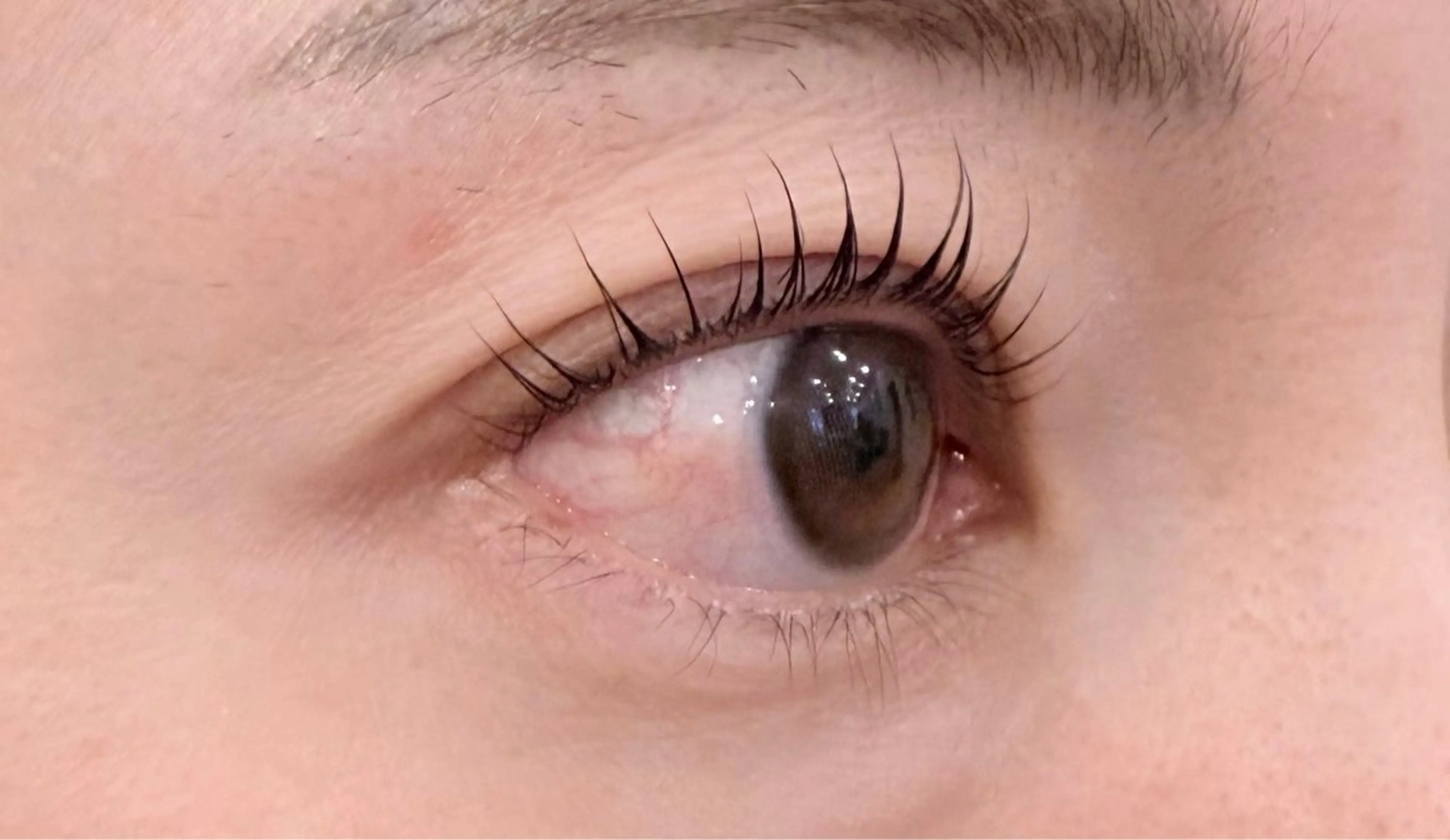 マツエク・マツパ ADMAN hair所属・ADMAN hairのマツエク・マツパデザイン