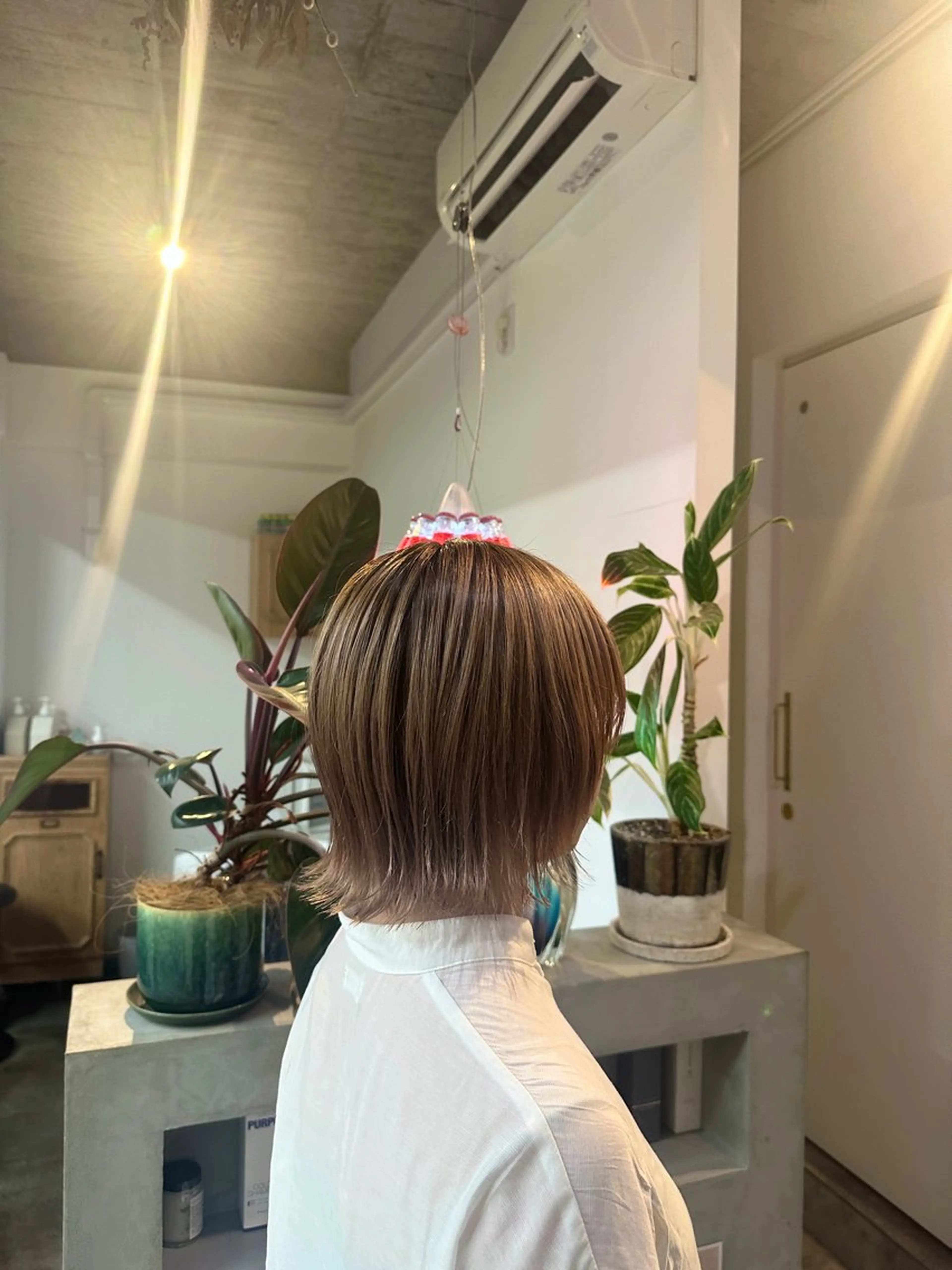 ショート palve【パーヴ】 ショウ🧸/パーマのヘアスタイル