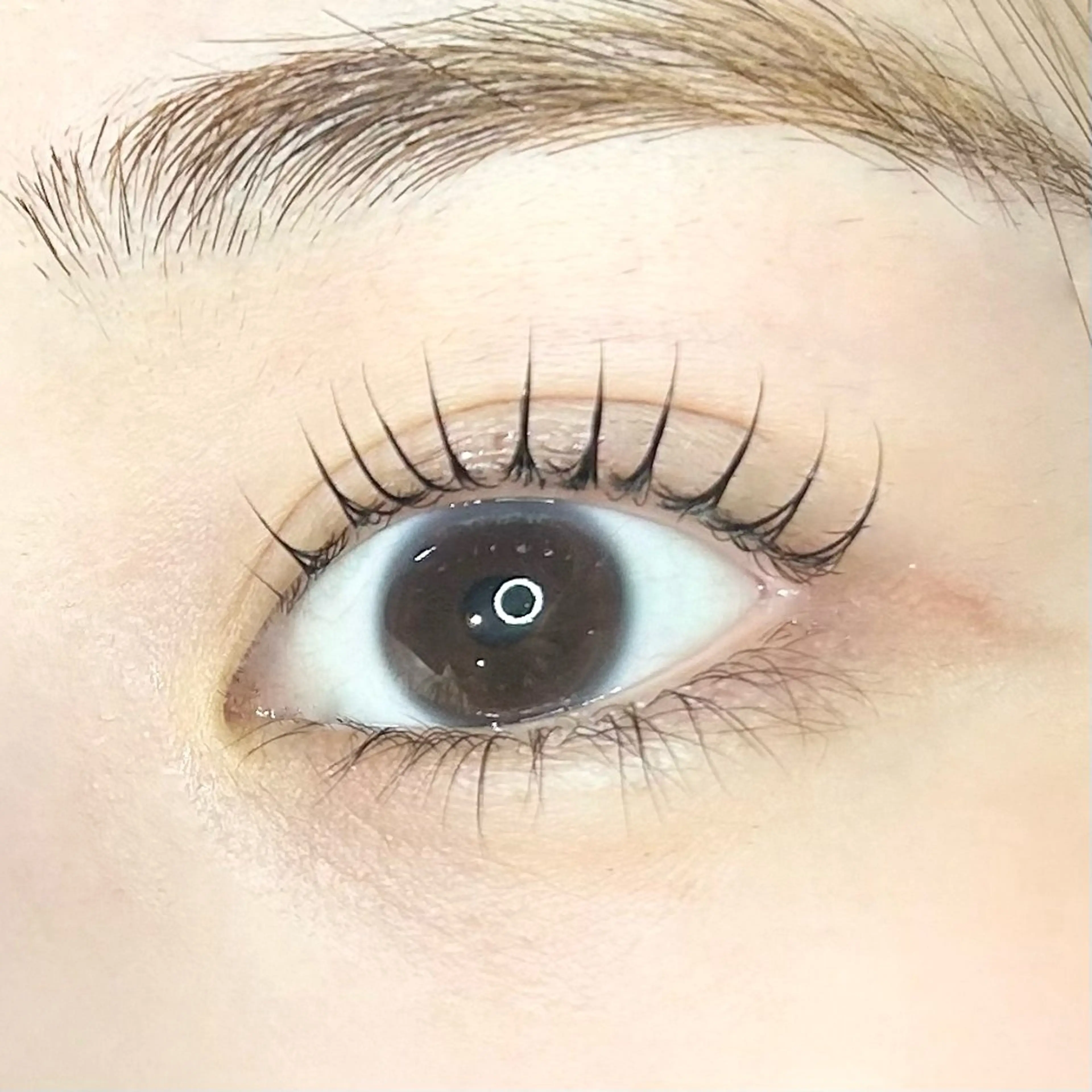 マツエク・マツパ LC尾張旭店所属・榊原 理恵のマツエク・マツパデザイン