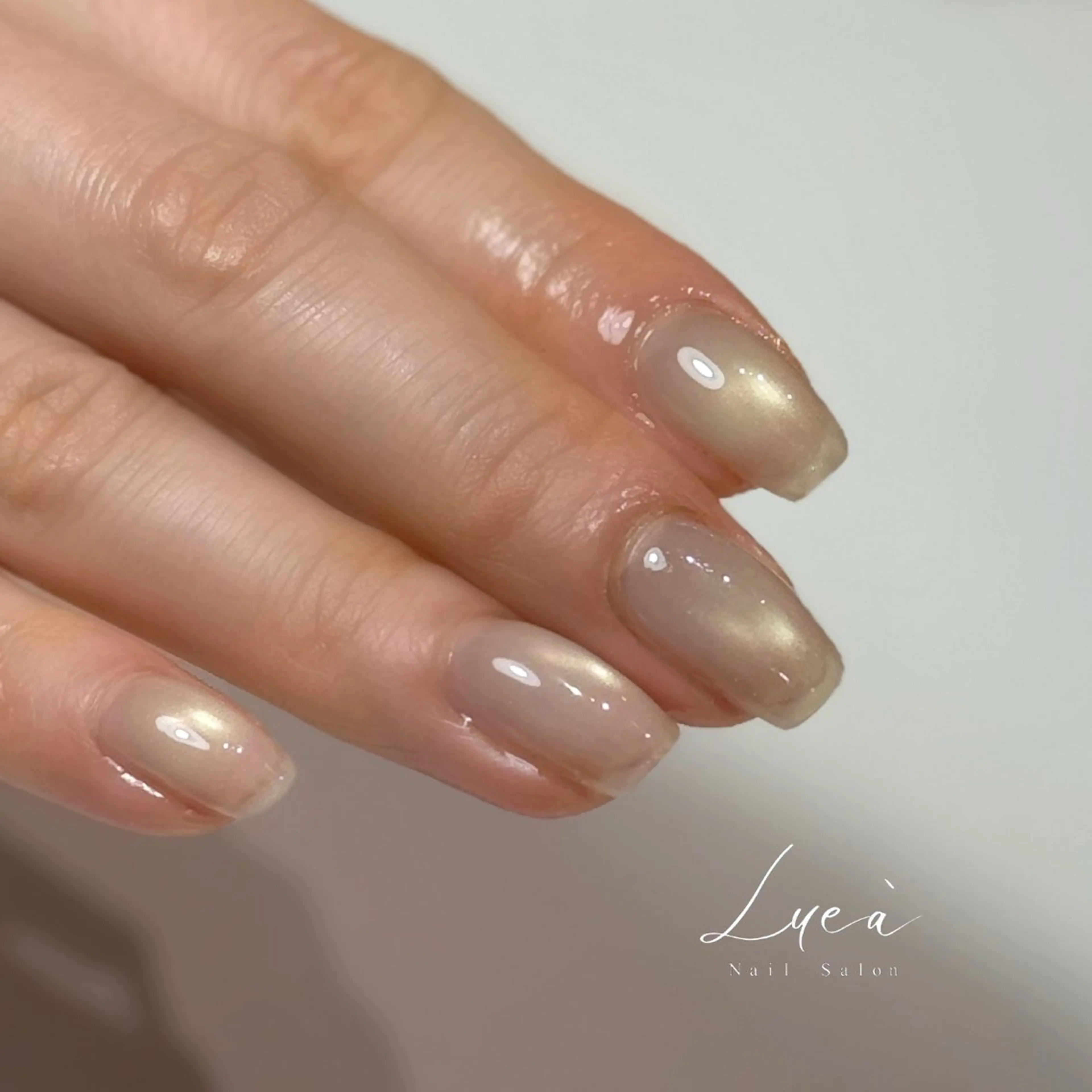 ネイル マグネットネイル ハンドネイル Lueà Nail Salon所属・𝐋𝐮𝐞𝐚 kanako🕊のネイルデザイン