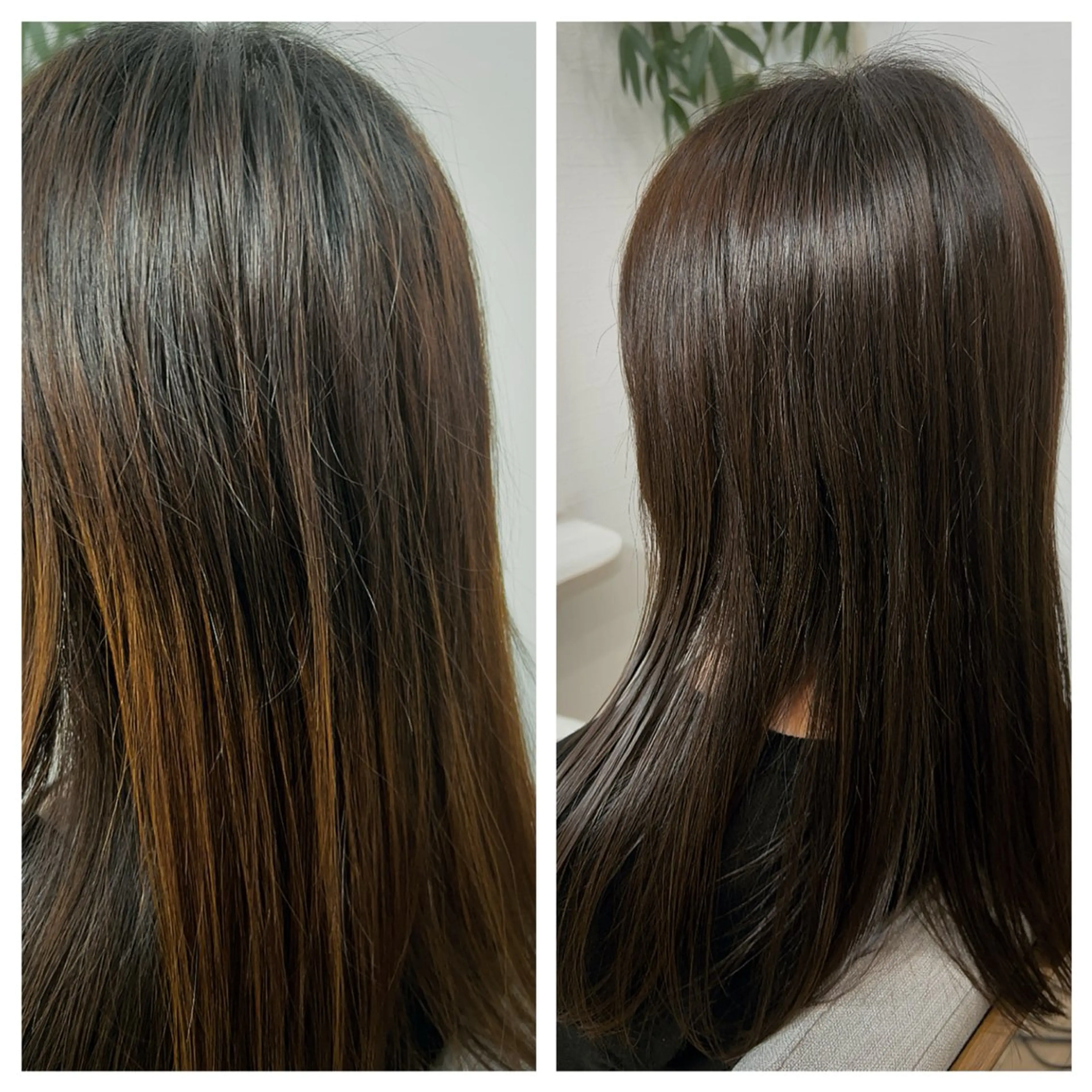 カラー アッシュ 似合わせ／ショート 菊田のヘアスタイル