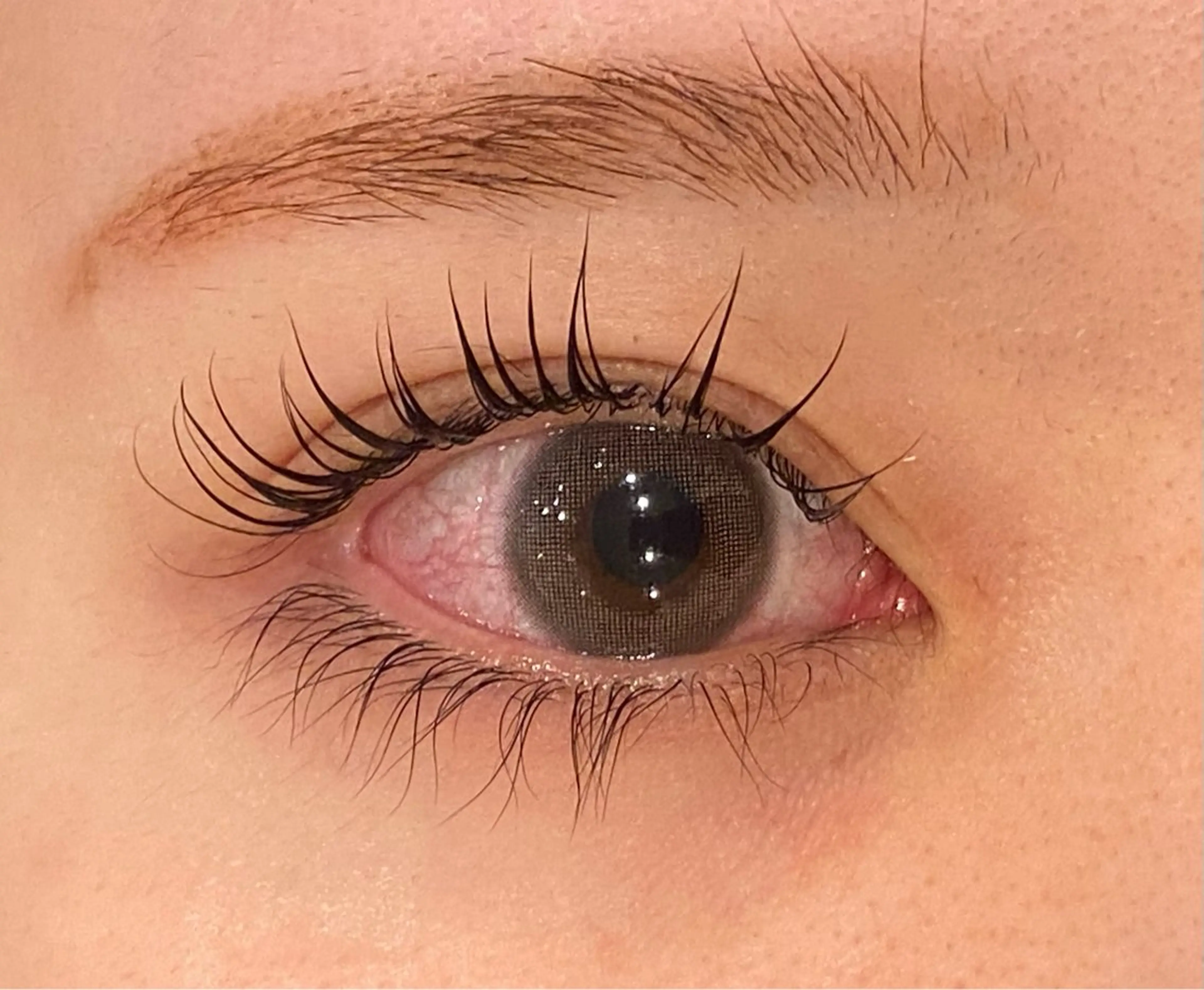 マツエク・マツパ Daisy lash 京橋店堀井のマツエク・マツパデザイン