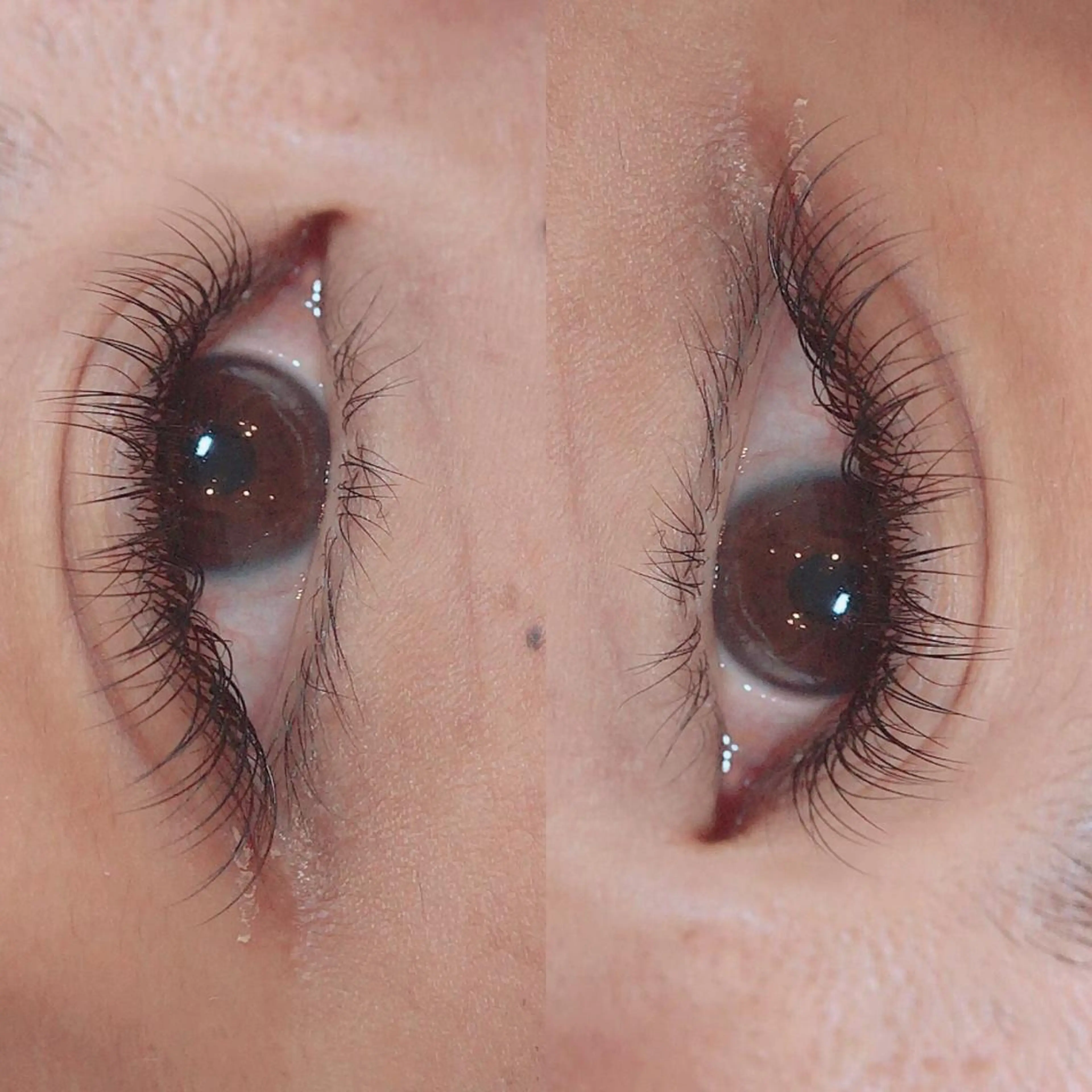 マツエク・マツパ パリジェンヌラッシュリフト 【iroka】 AYAKAのマツエク・マツパデザイン