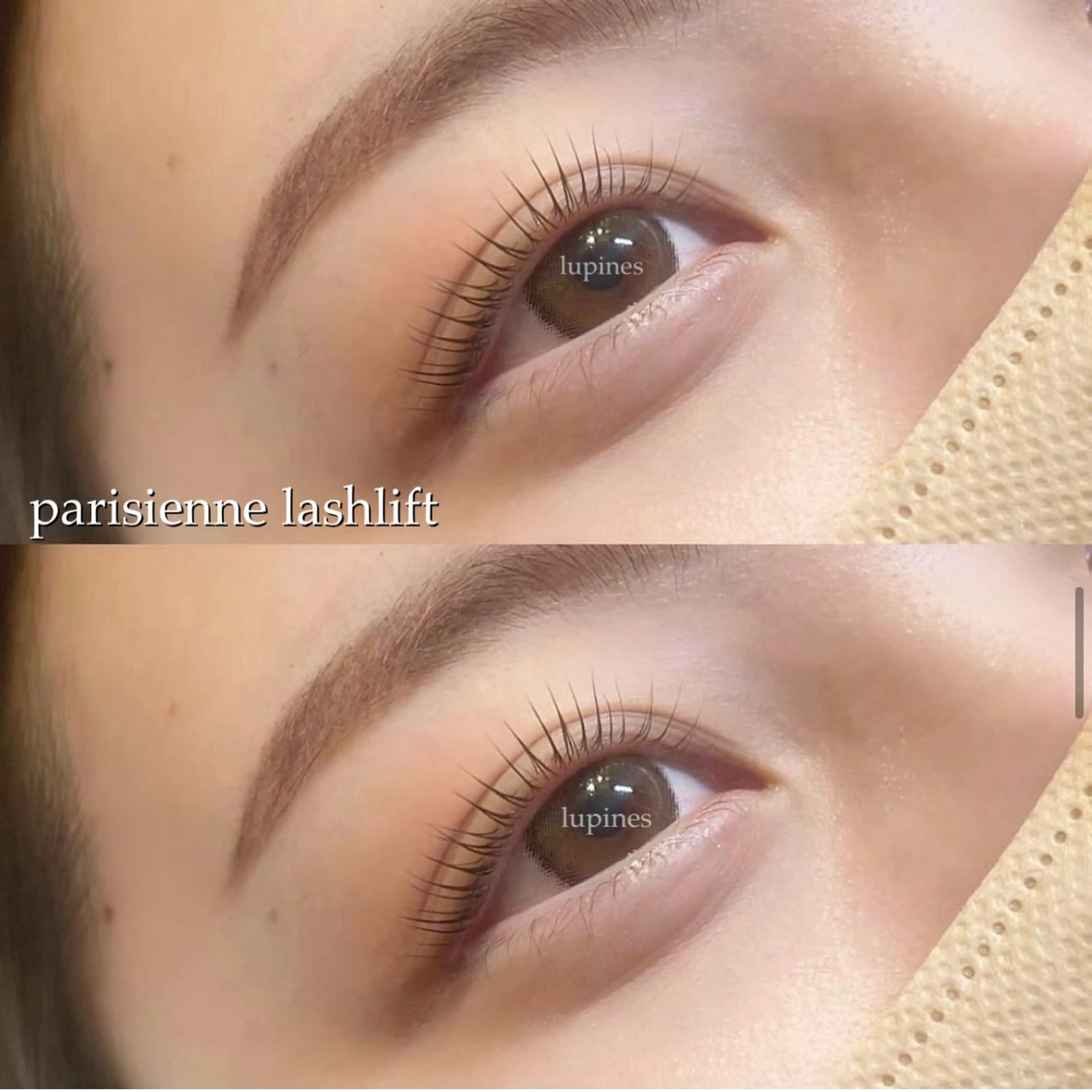 parisienne lashlift🌺(上のみ)の写真