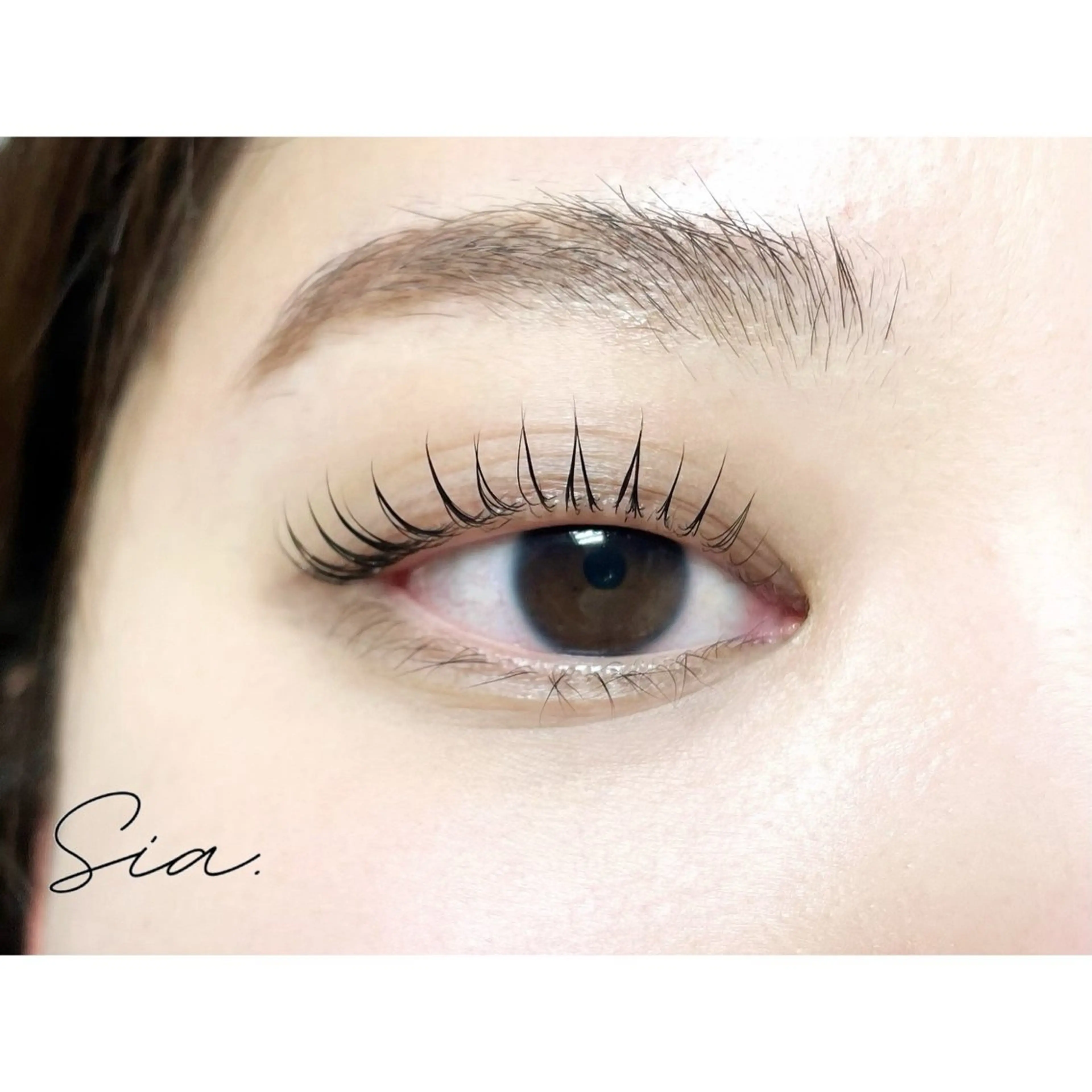 マツエク・マツパ Sia.   大阪梅田茶屋町店所属・まつパ/まつエク Sia.茶屋町店のマツエク・マツパデザイン