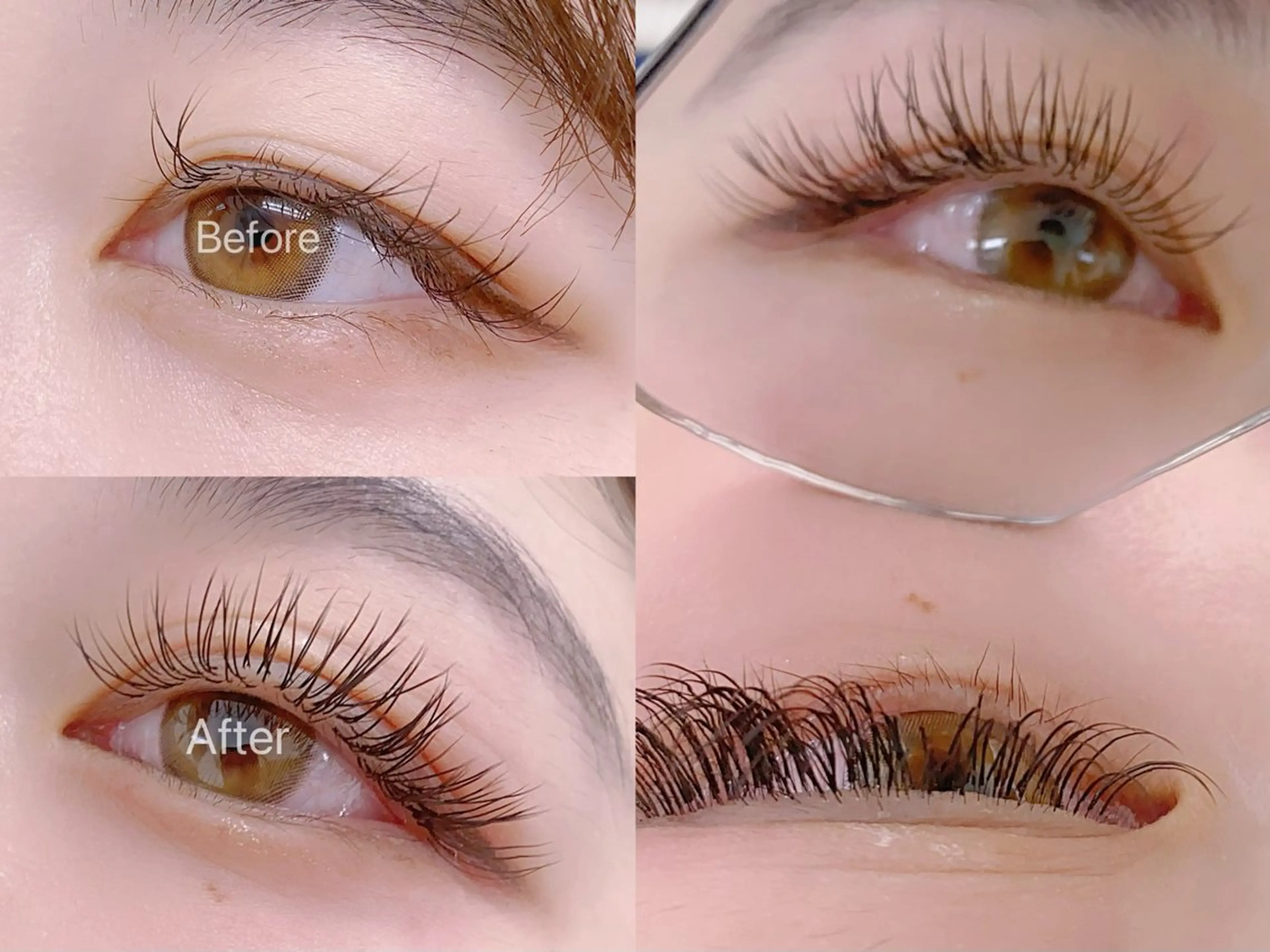 マツエク・マツパ 韓国風マツエク ワンホンマツエク 2 5のマツエク・マツパデザイン