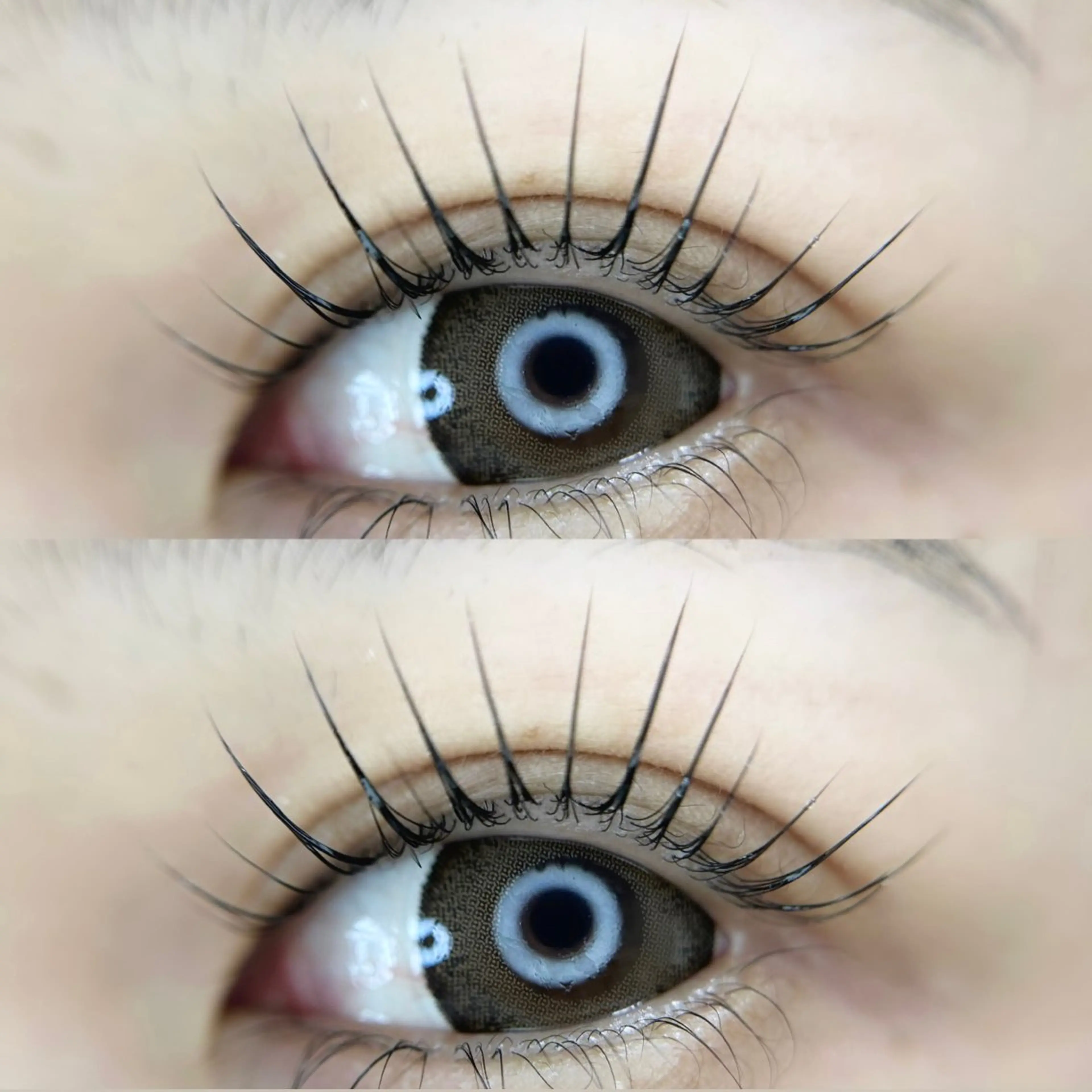 マツエク・マツパ ar...beauty salon所属・藤原 茜のマツエク・マツパデザイン