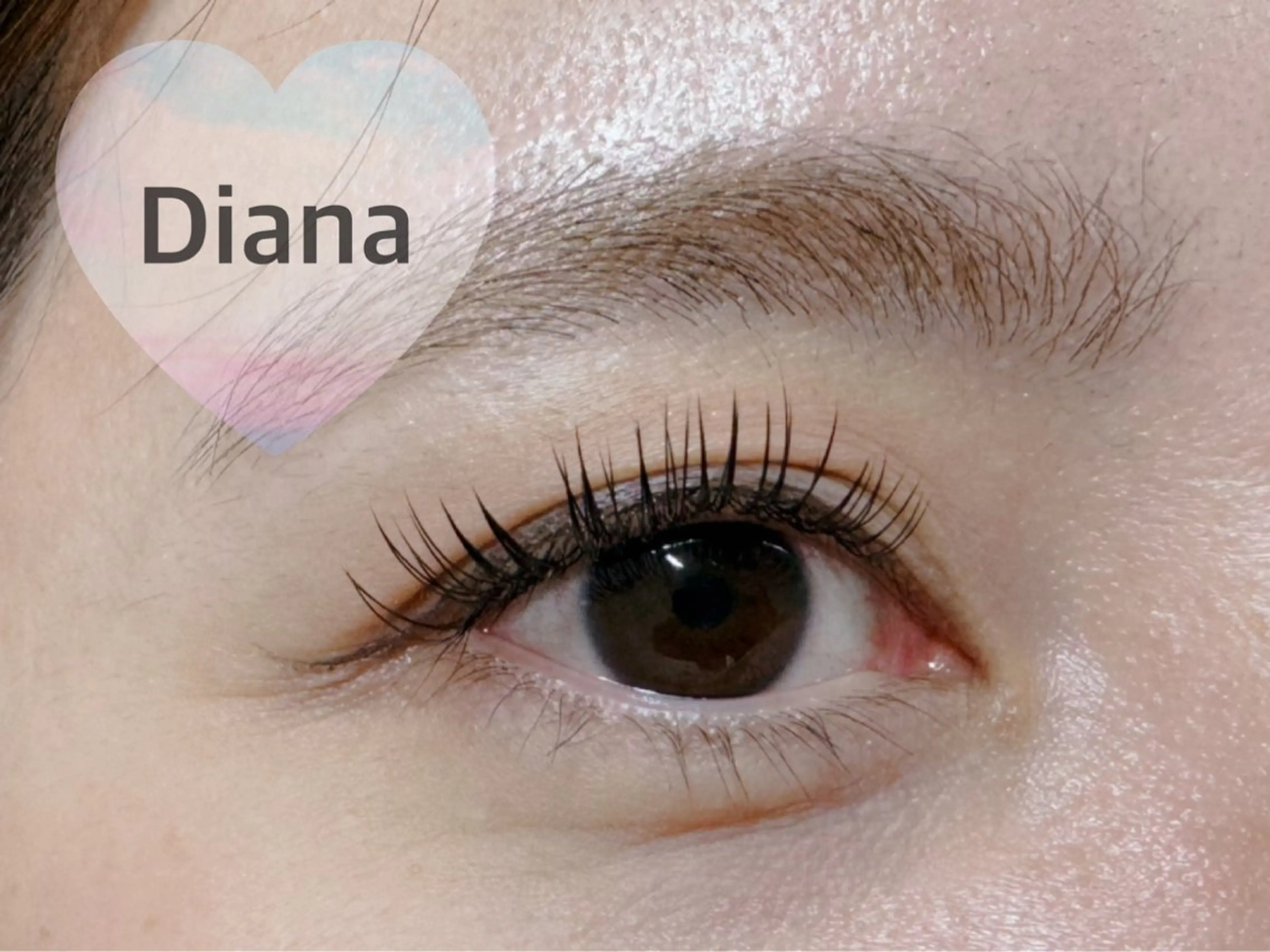 マツエク・マツパ フラットラッシュ ナチュラル DIANA★eye sudaのマツエク・マツパデザイン