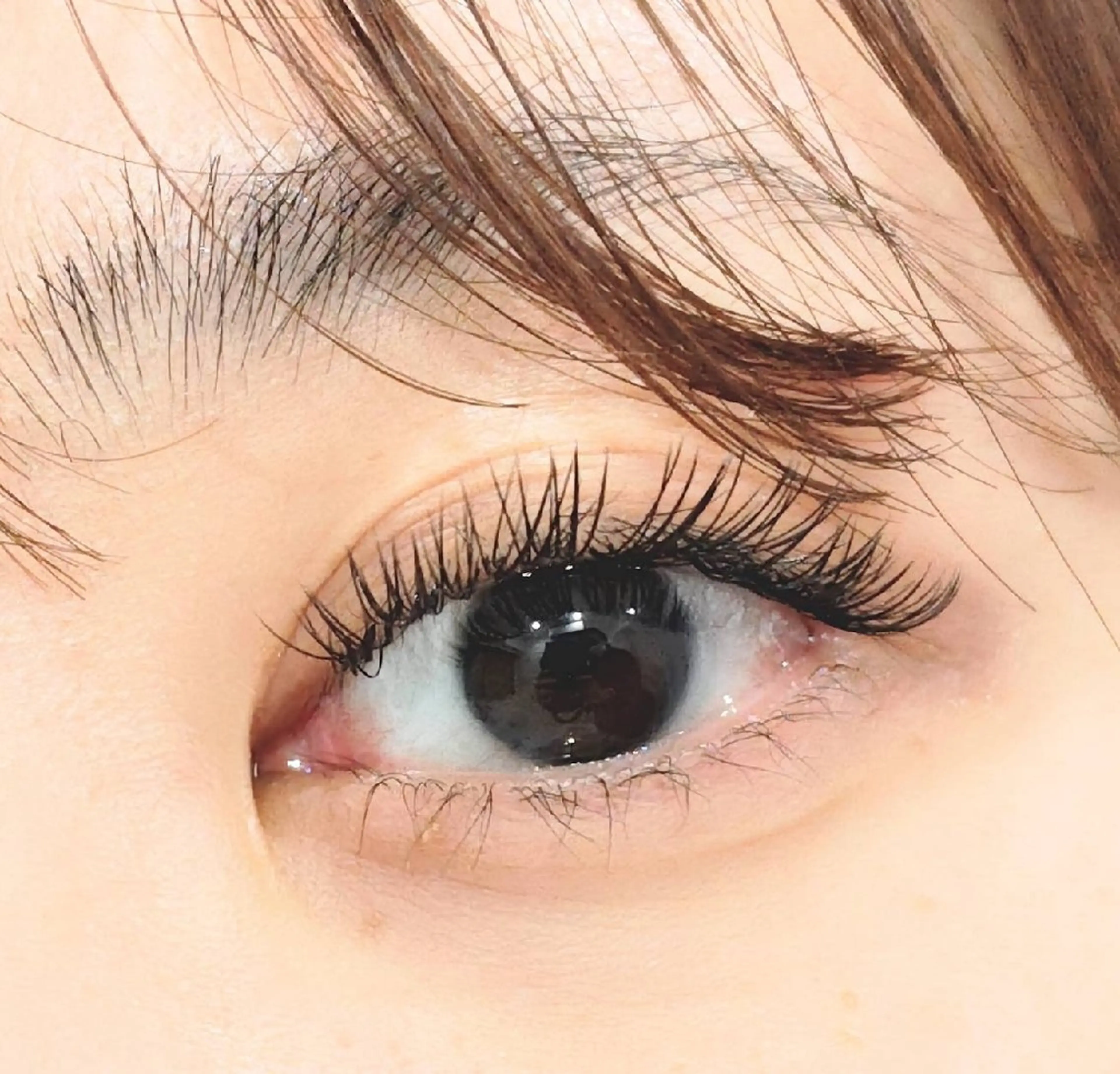 メガフラット60分付け放題 オフ込み ¥5500の写真