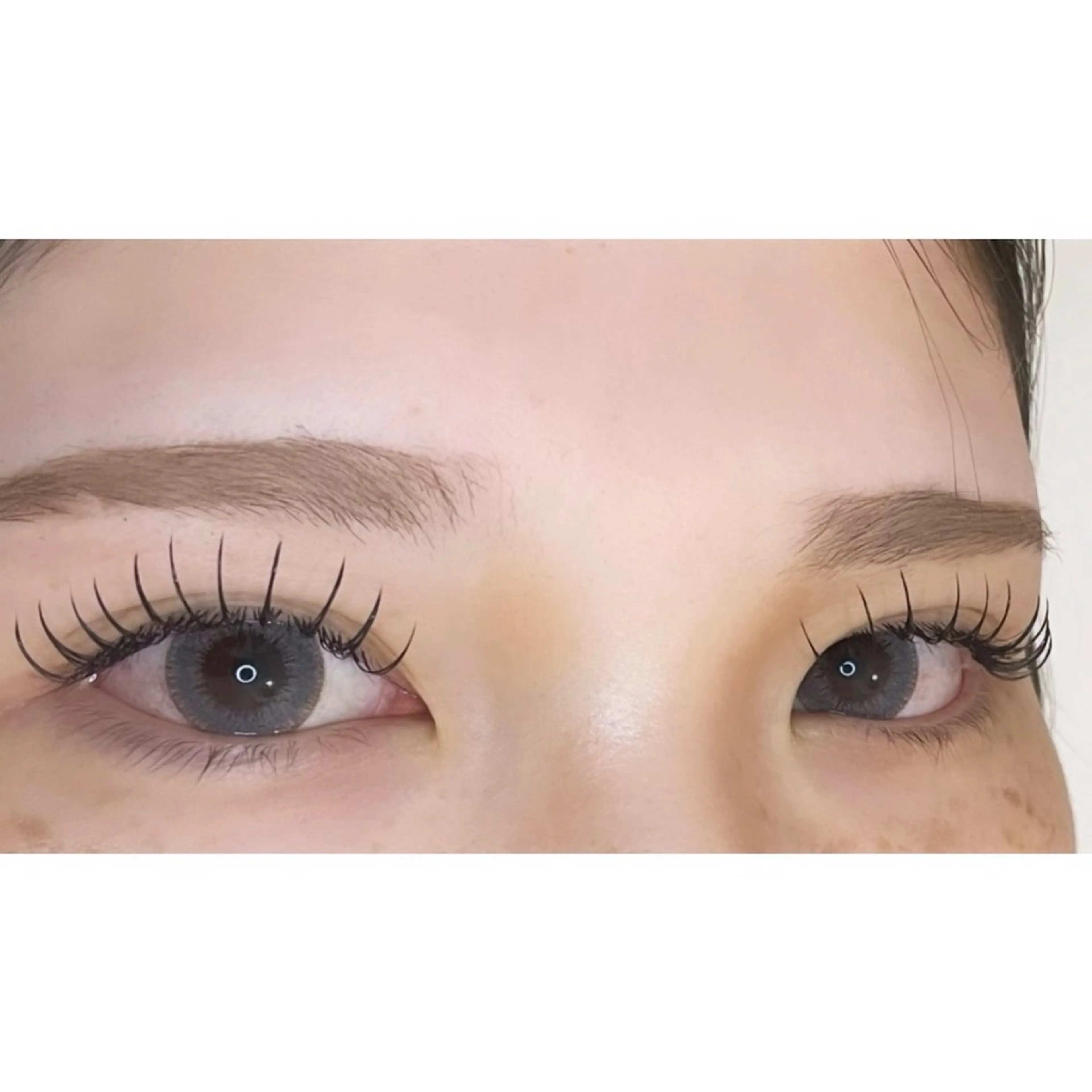 【3月限定🪽】自まつ毛立ち上げ＆エクステ🩷アップワードラッシュ🎀🤍ᩚ 120本 🩰の写真