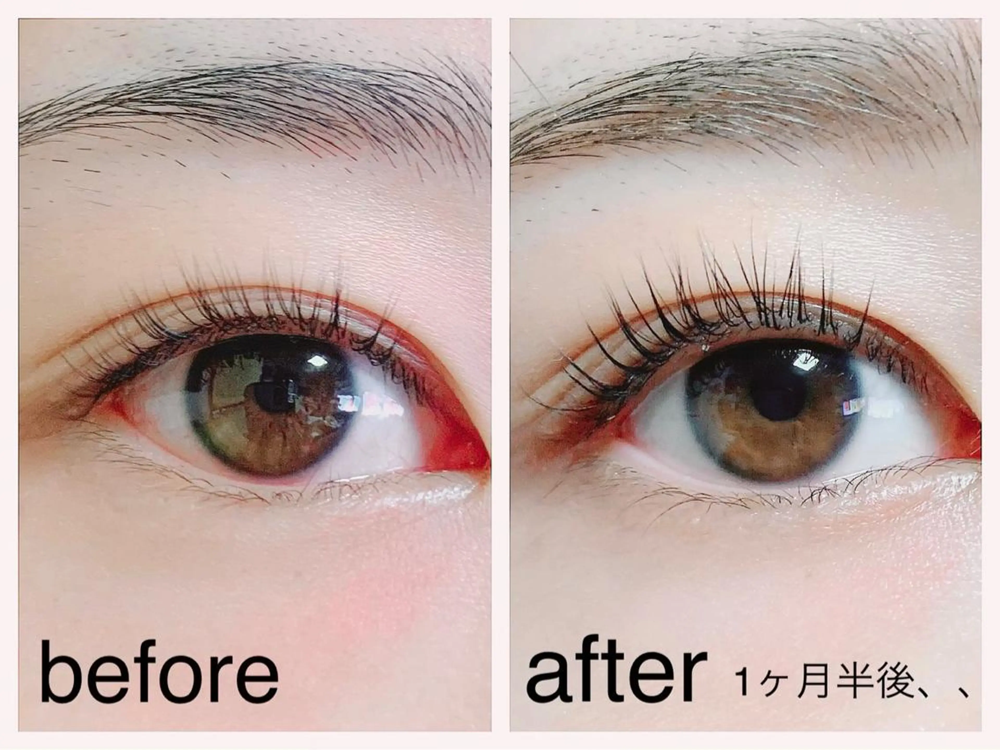 パリジェンヌ/眉毛 MIRA柏 Miyuのマツエク・マツパデザイン