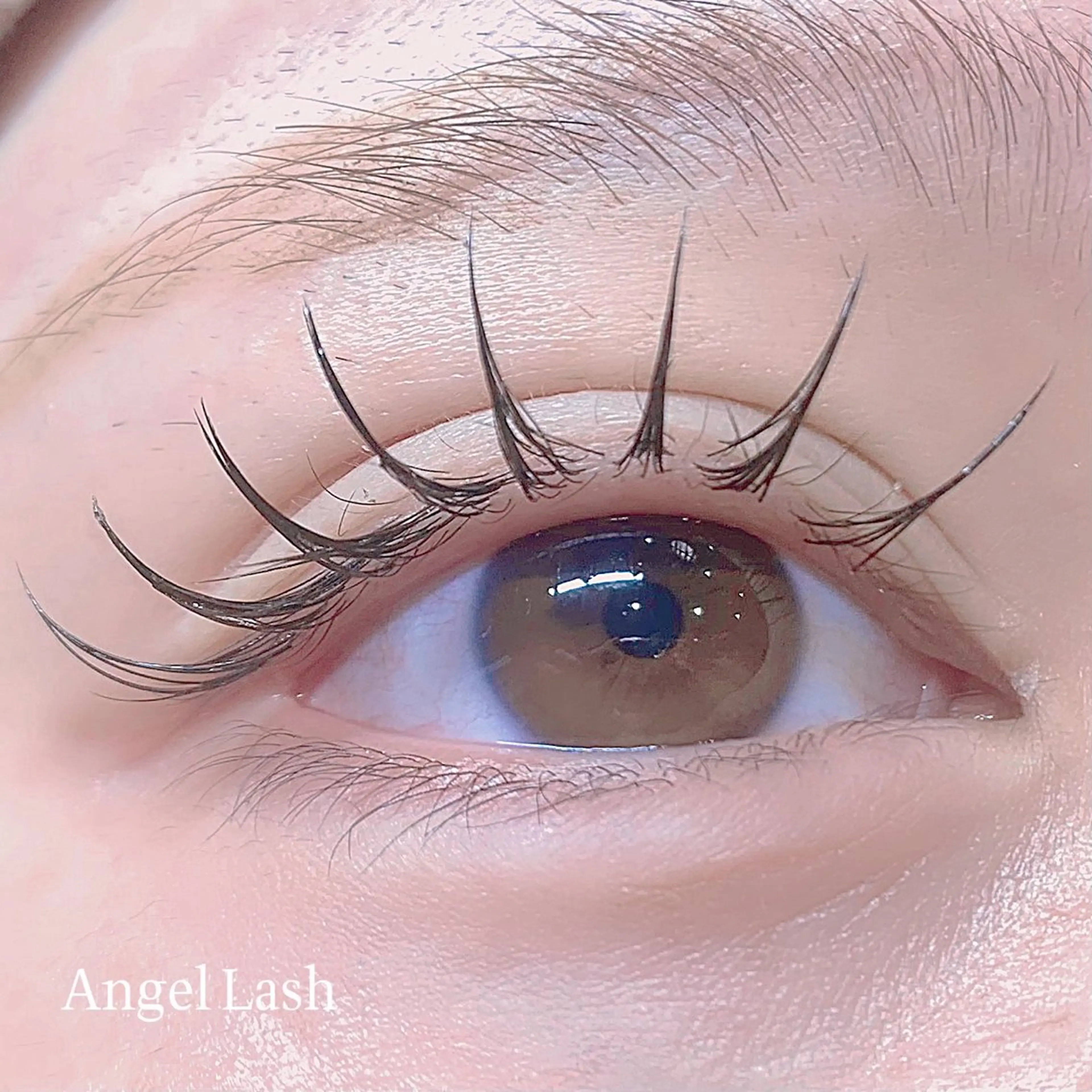 マツエク・マツパ 束感まつ毛 フラットラッシュ THE EYEBROW 「ザ・アイブロウ」大宮店所属・sugimachi 🦋のマツエク・マツパデザイン