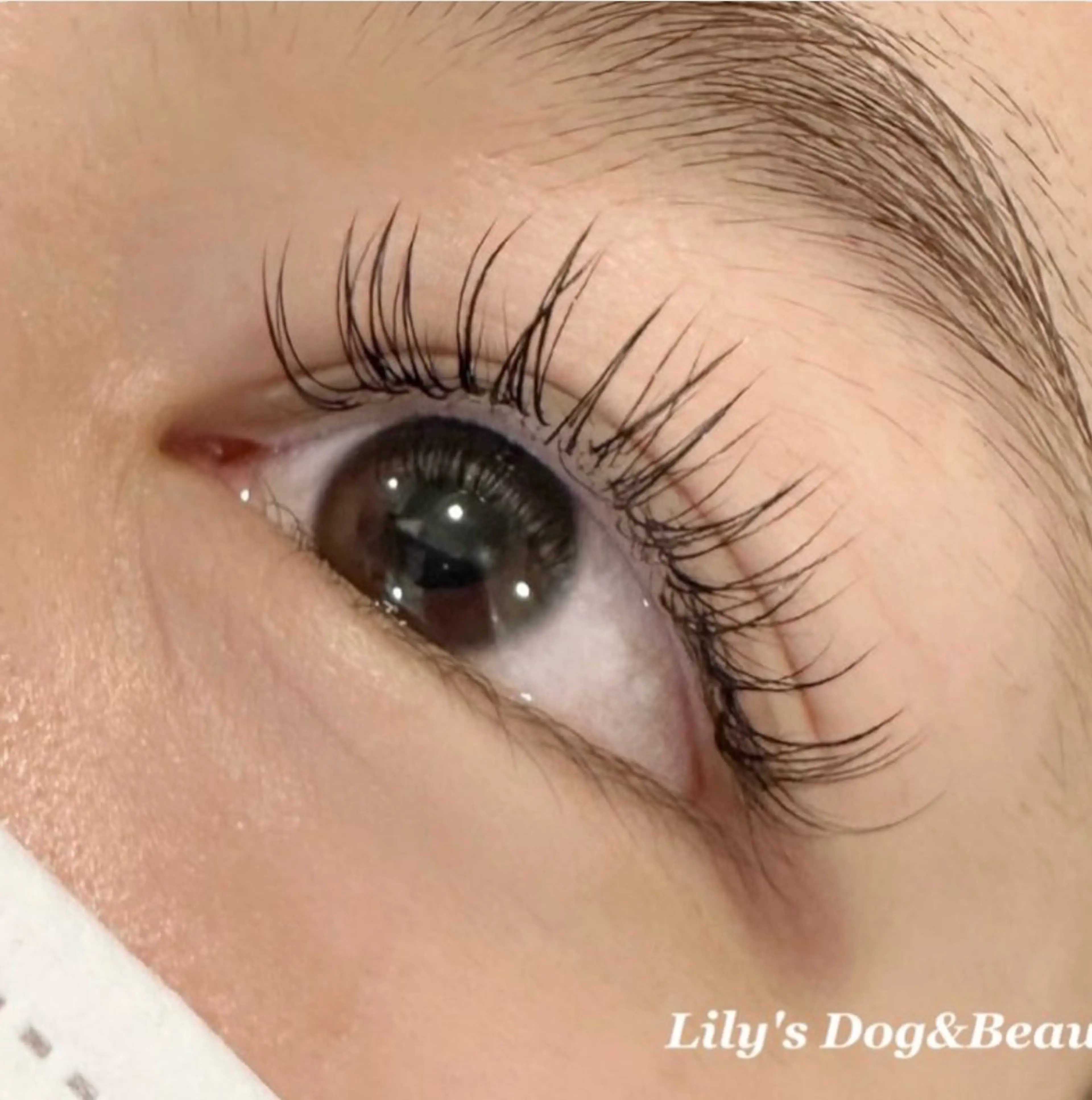 【モデル】フラットラッシュ80本⭐️〜(本数変更可能)の写真