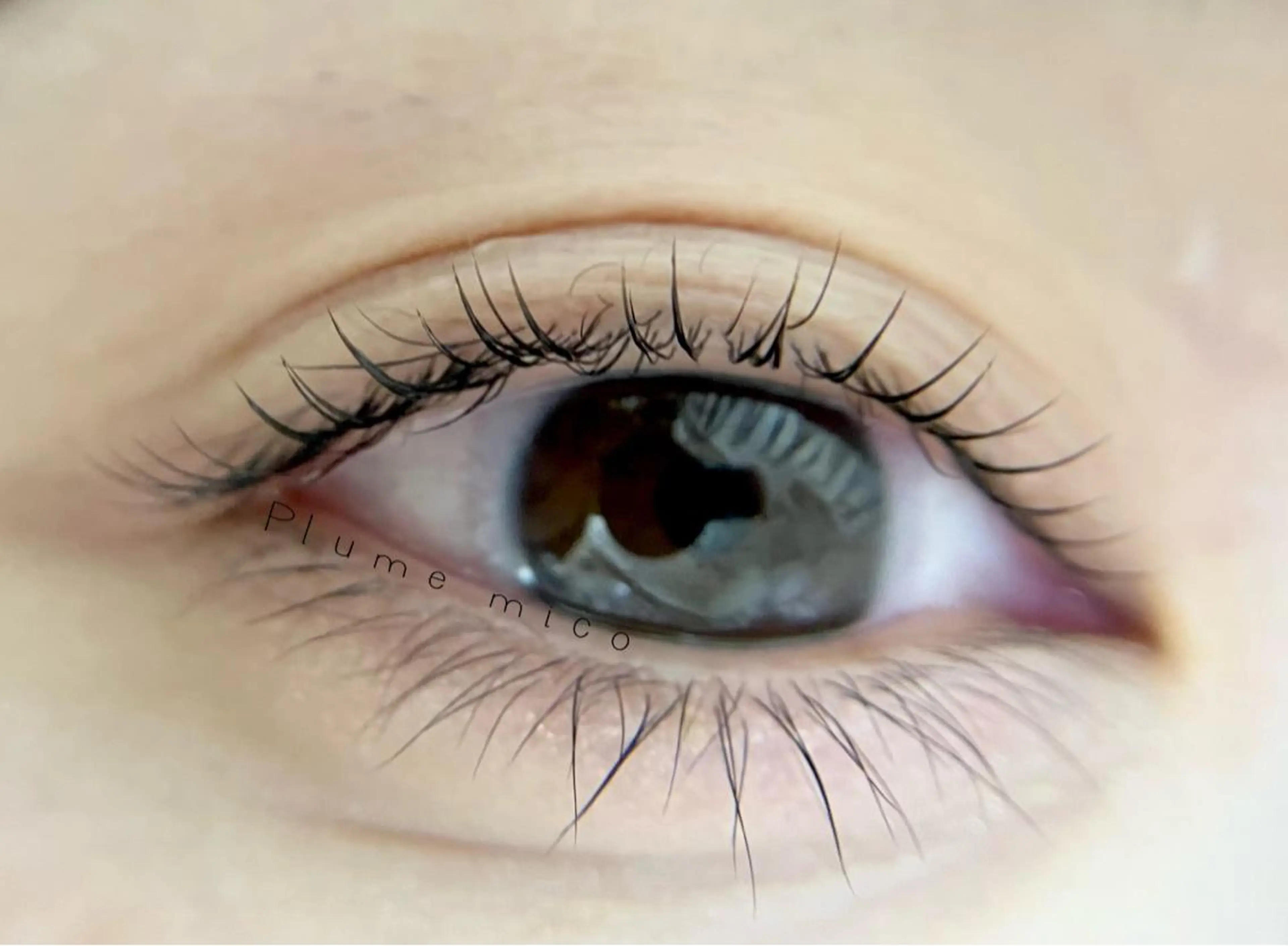 マツエク・マツパ マツパ Plume micoのマツエク・マツパデザイン