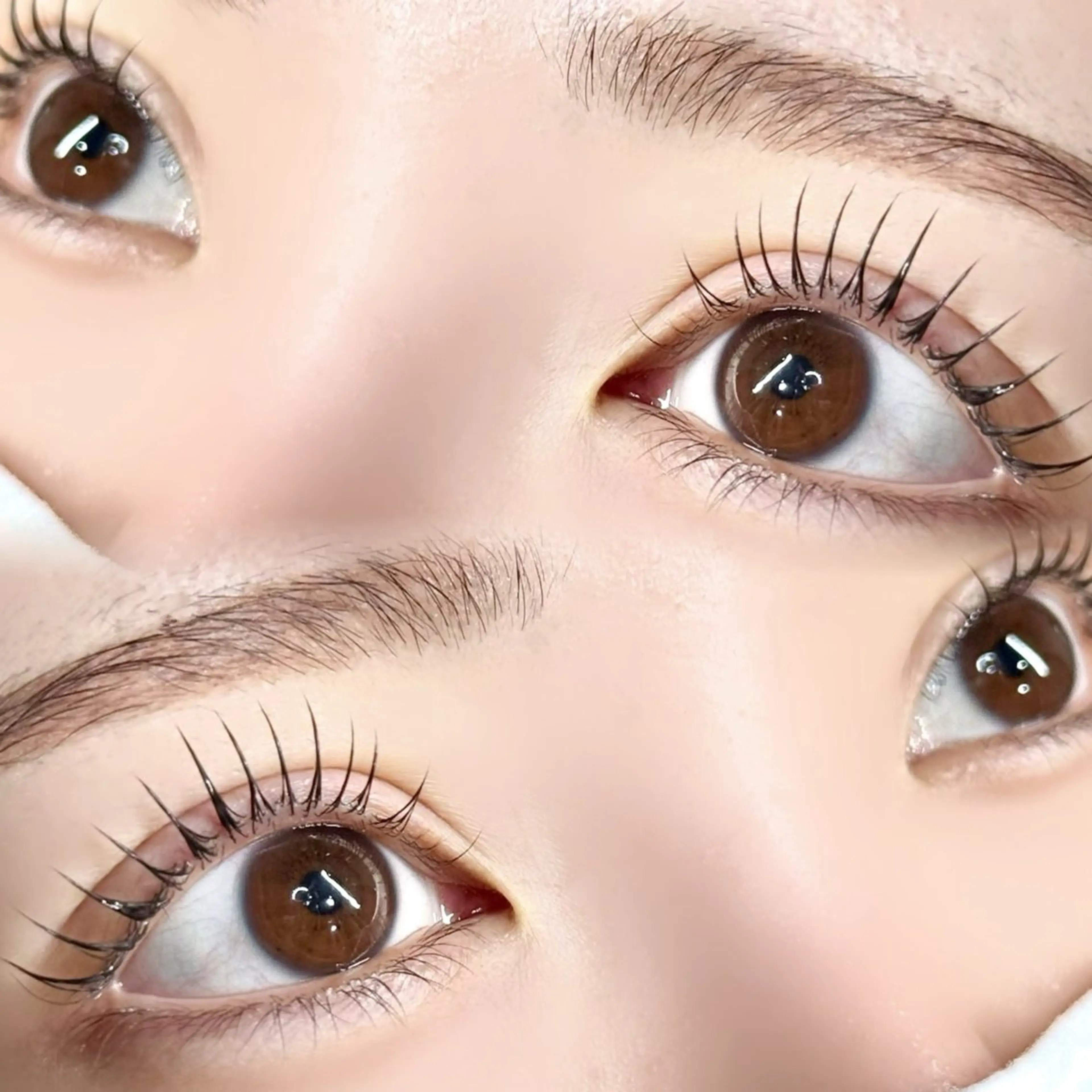 💎パリジェンヌラッシュ💎（上下）の写真