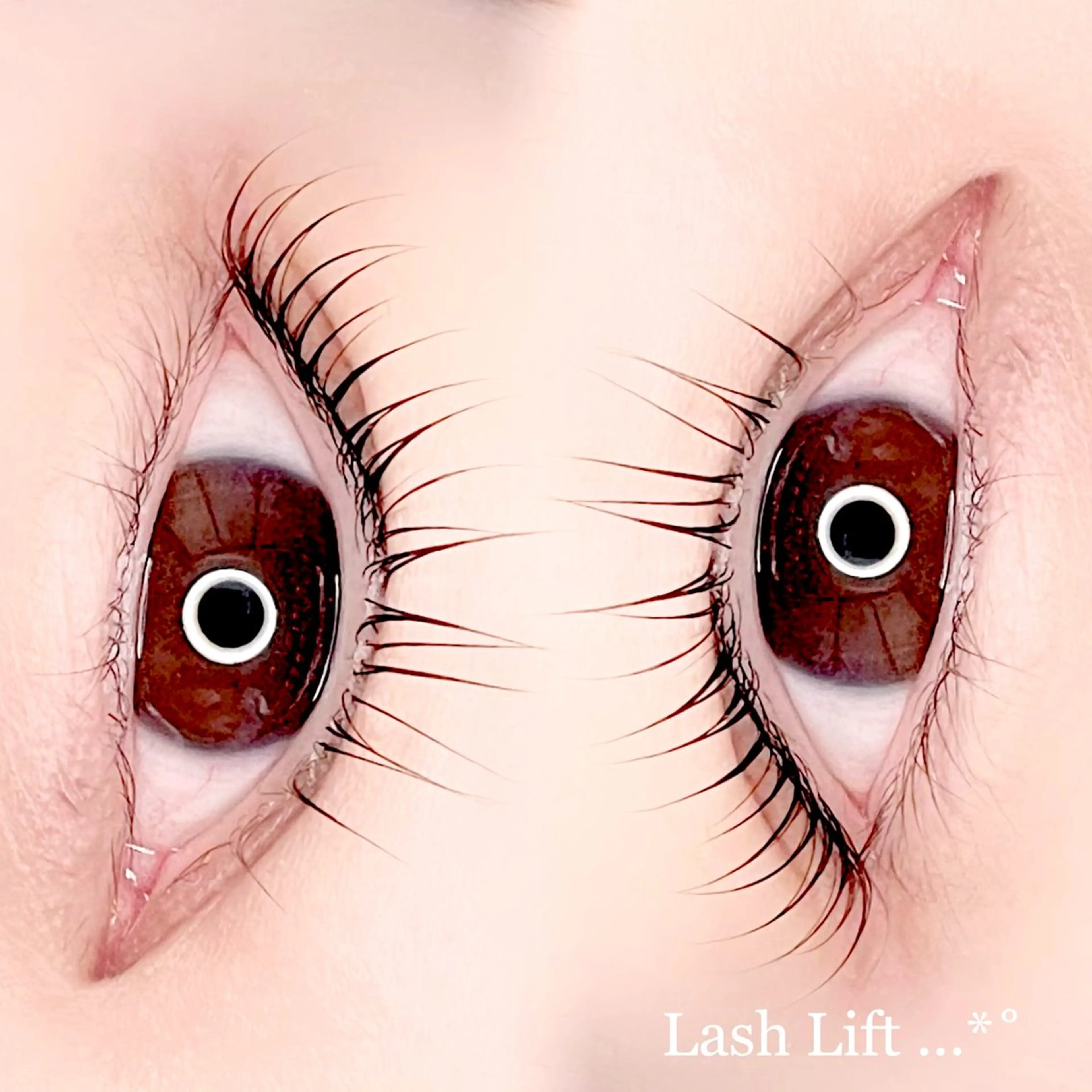 マツエク・マツパ Madonna Lilyのマツエク・マツパデザイン