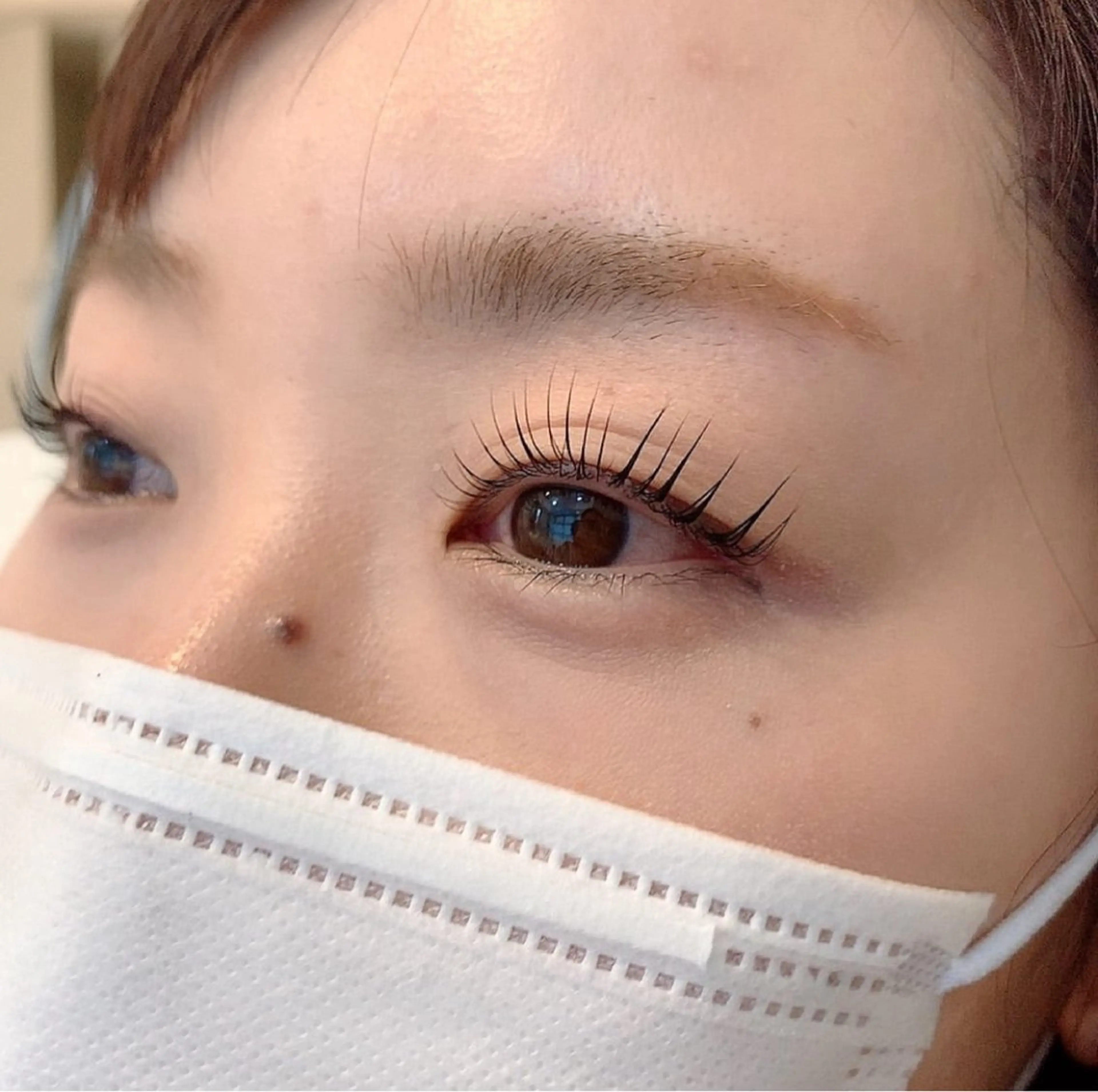 【ご新規様限定】韓国風　束感まつ毛パーマ　4980→3980円の写真