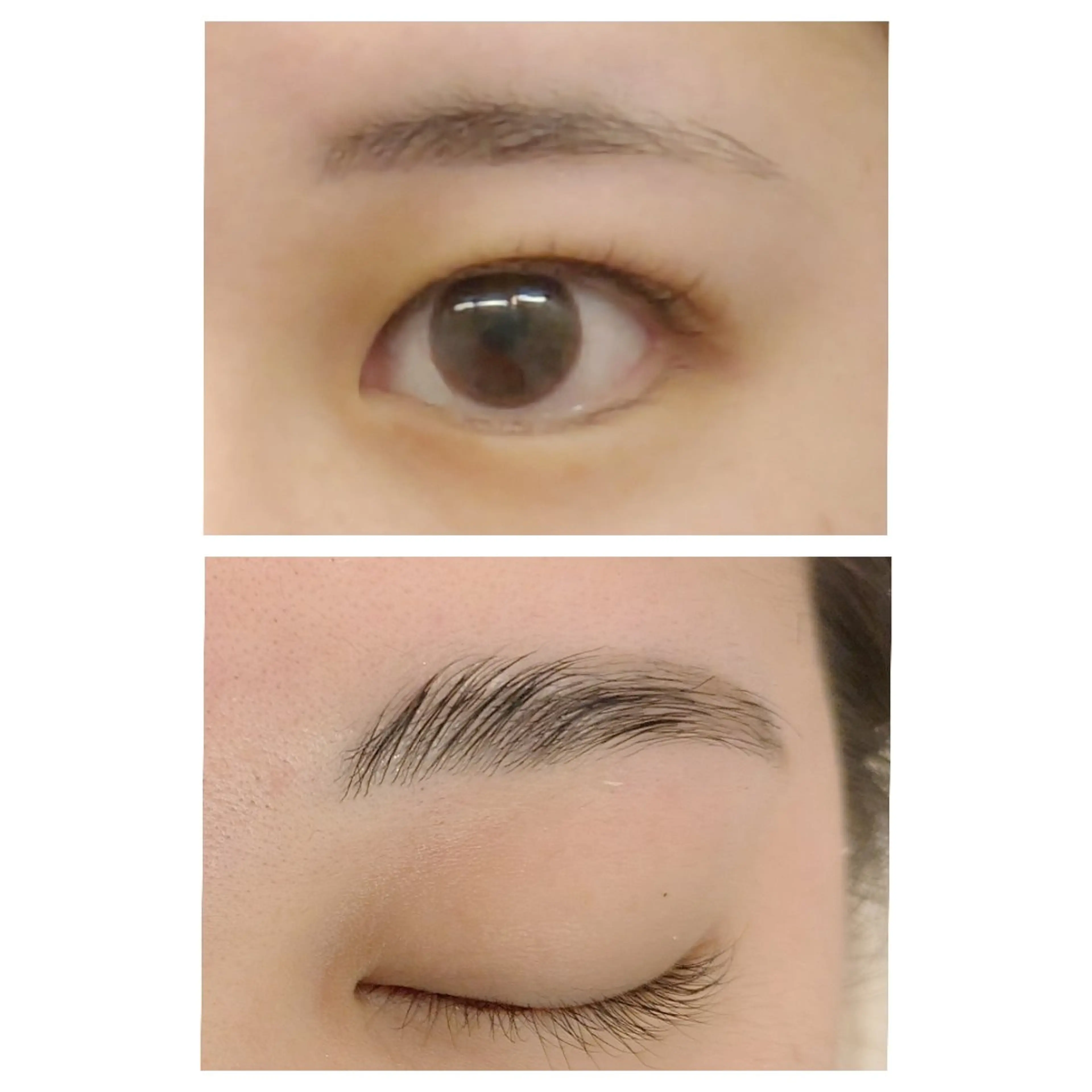 アイブロウ ハリウッドブロウリフト メンズアイブロウ akane .のその他イメージ